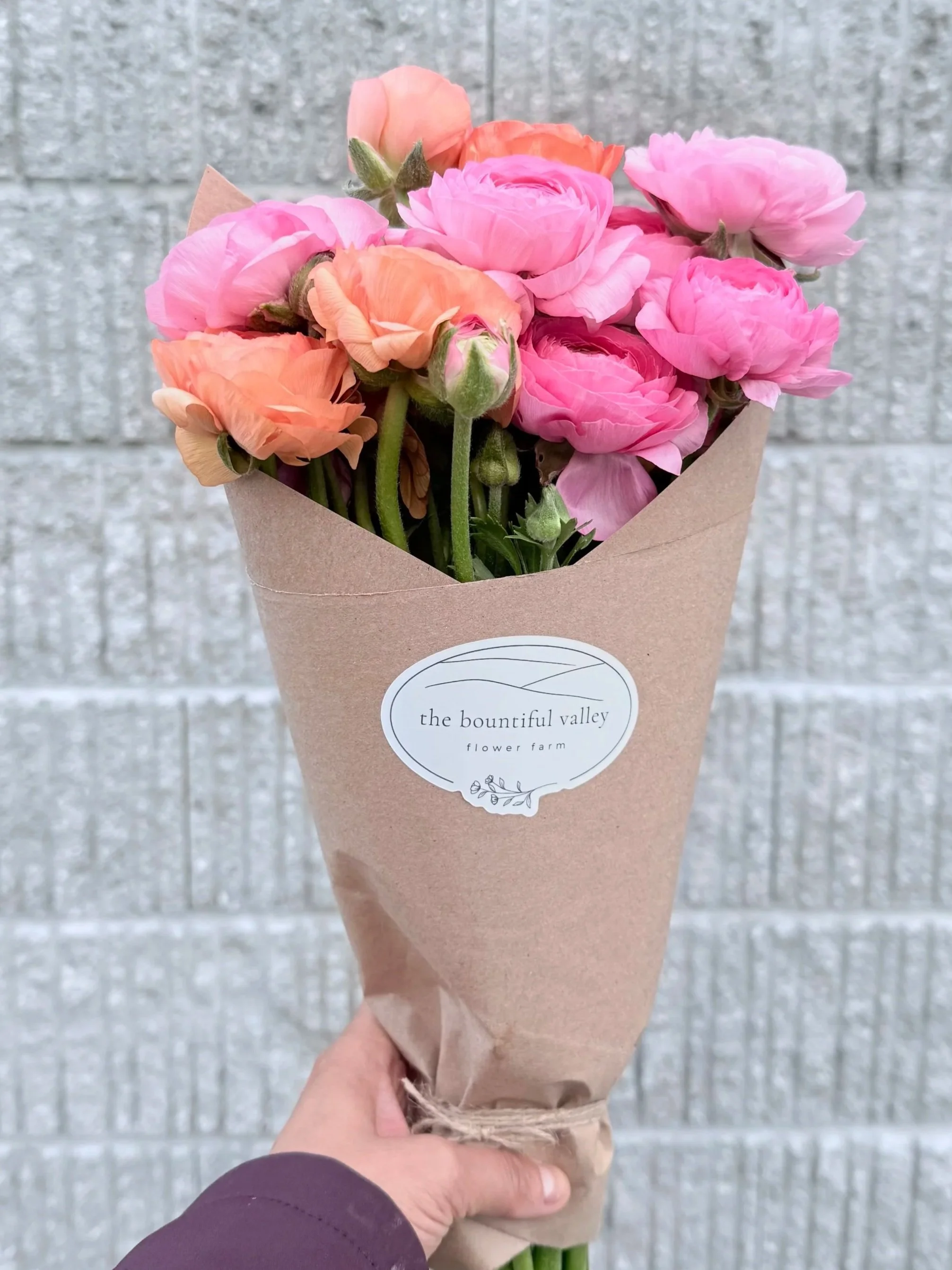 Hand-wrapped bouquet of ranunculus stems, pinks, orange, blush. Grown sustainably by The Bountiful Valley in Castor Valley.