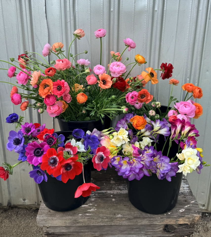 Screenshot 2026-04-07 at 9.26.41 AM.png