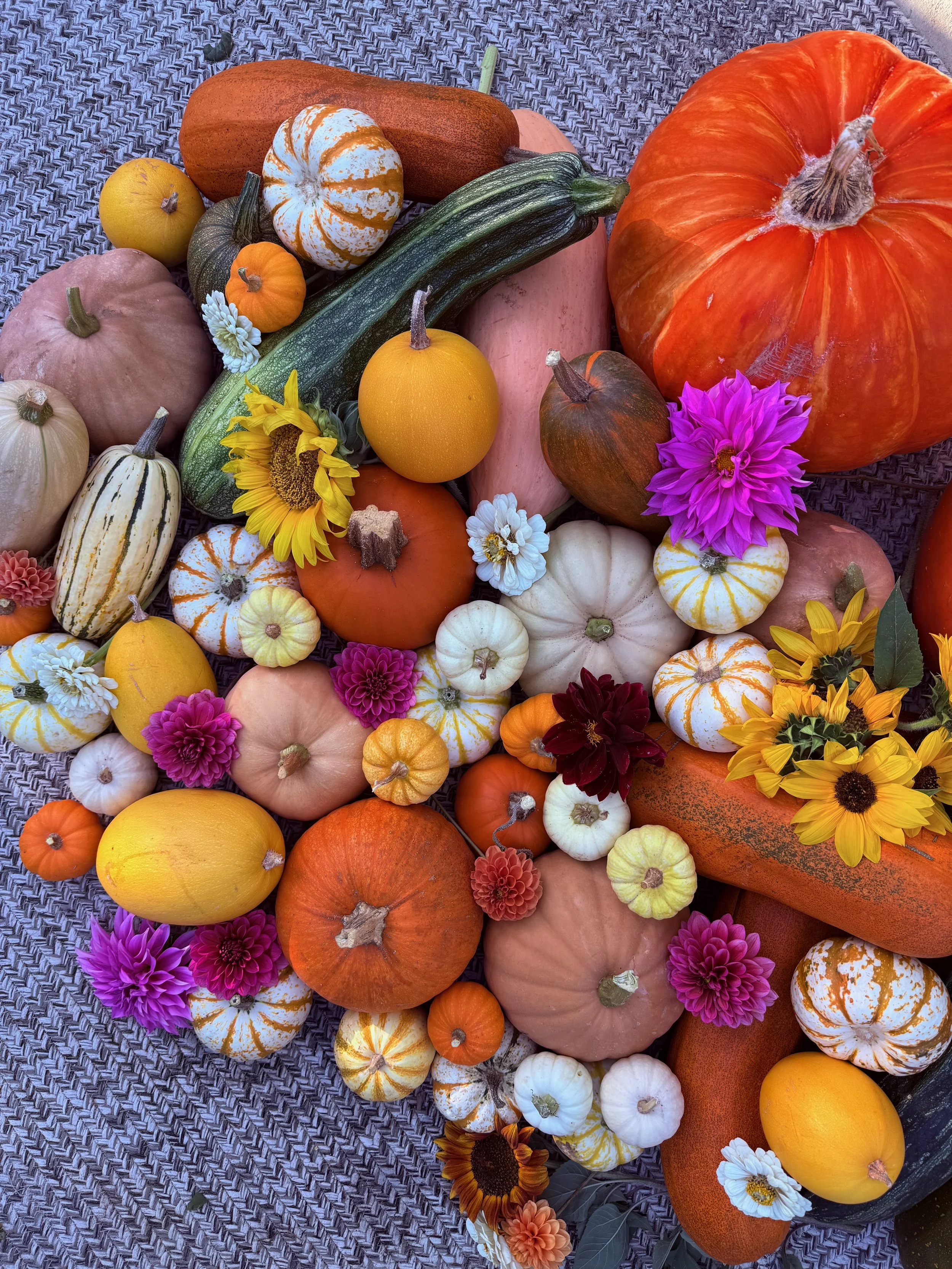A colorful collection of various pumpkins, gourds, and flowers arranged on a textured surface.
