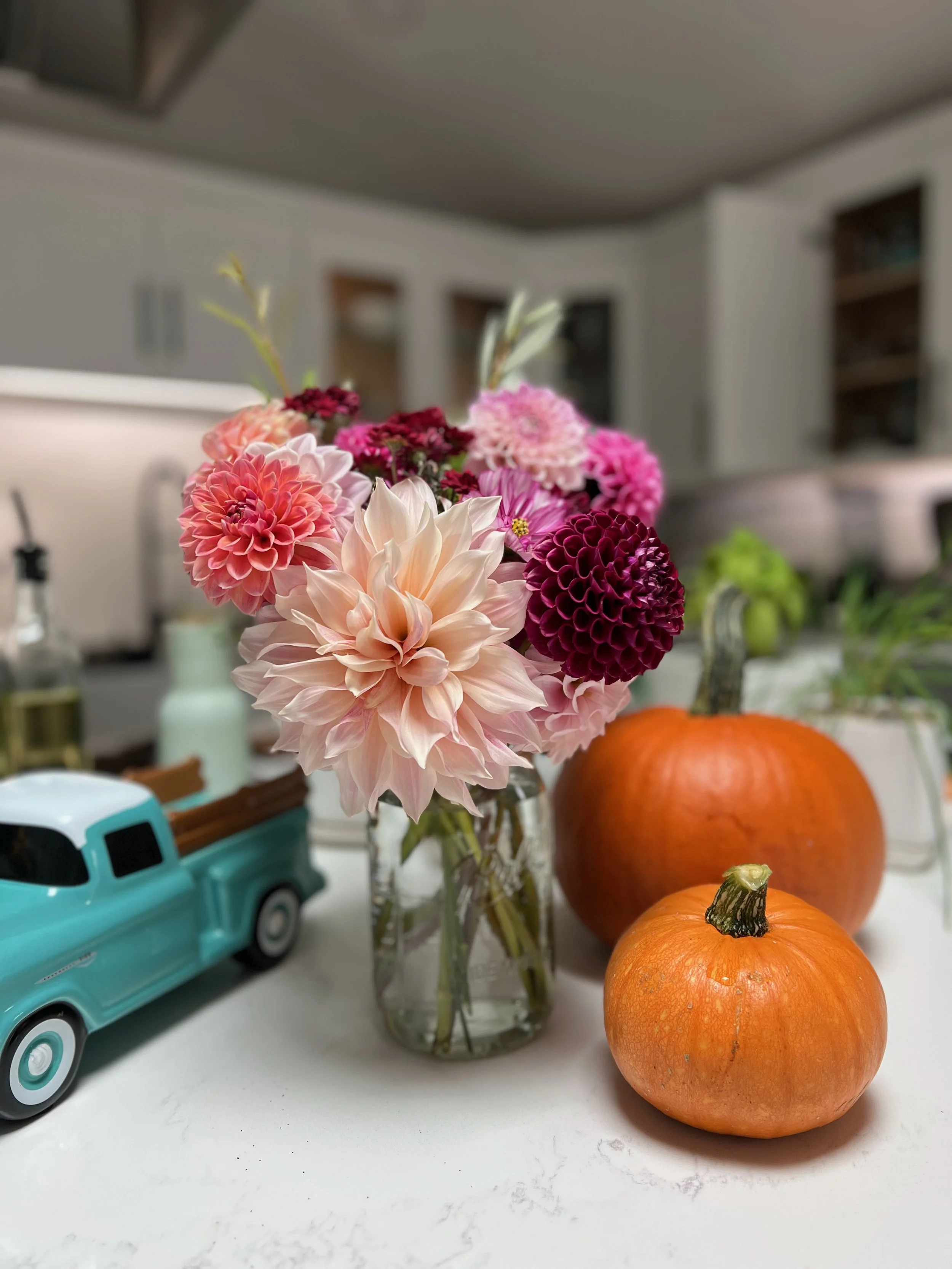A bouquet of pink and purple dahlias in a glass vase, with two small orange pumpkins on a white countertop.
