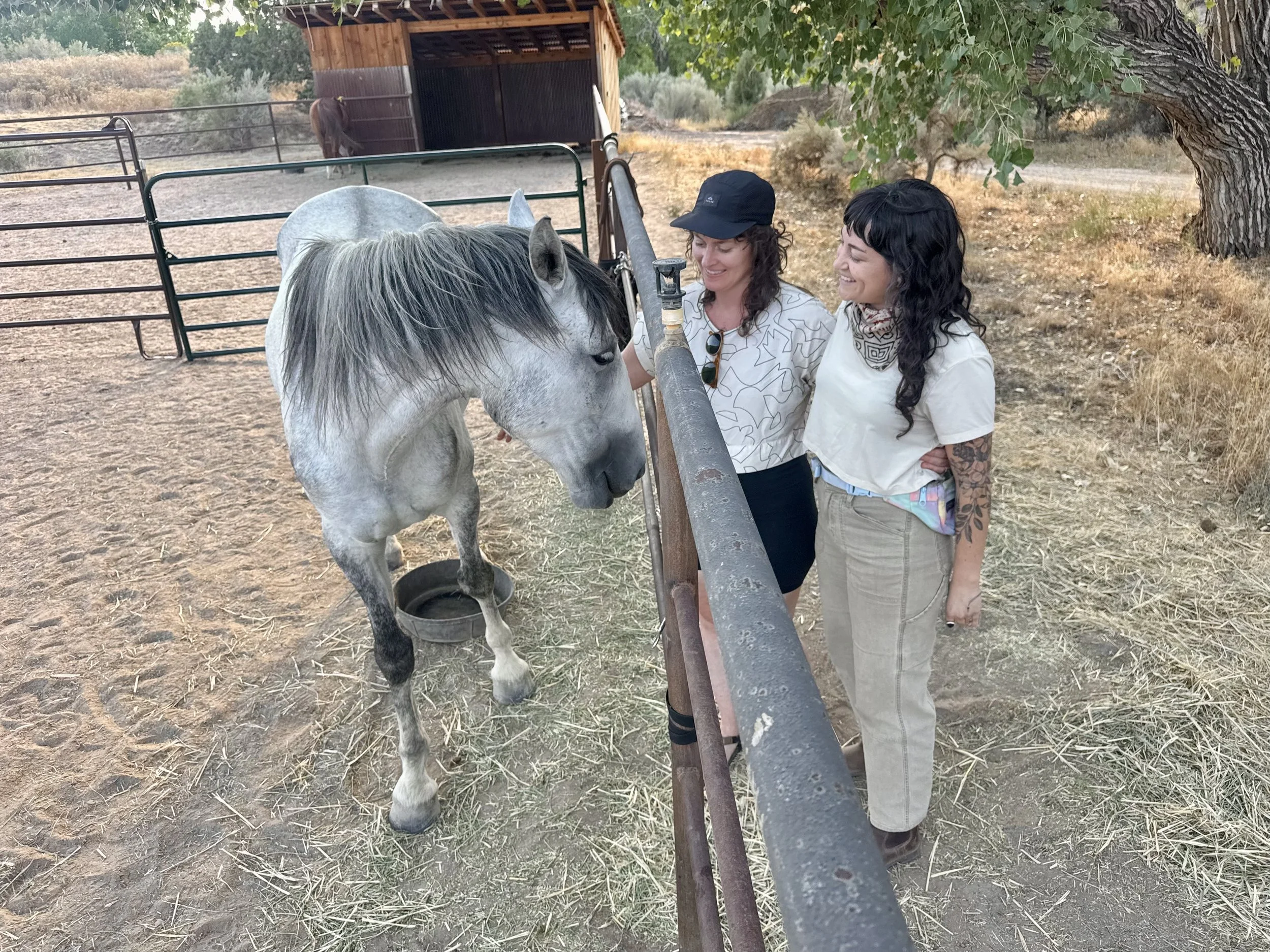 Visiting Brie's sister Laura and her horse here in the Canyon