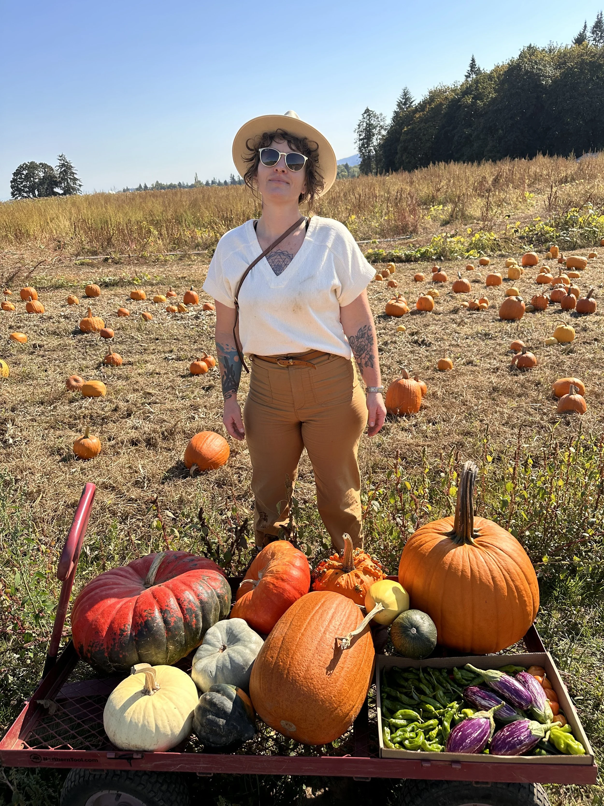 Year two of pumpkin foraging