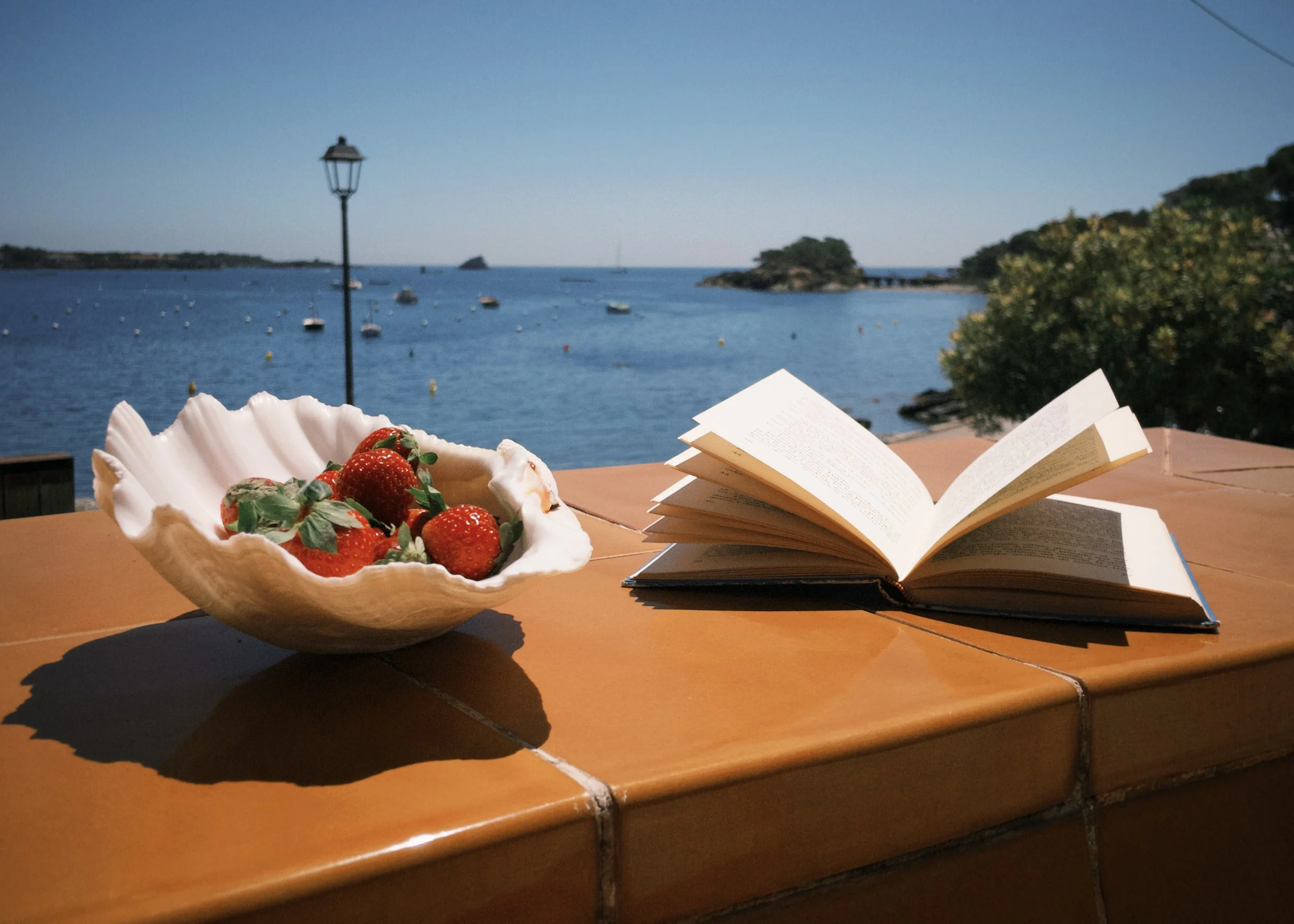 Te apetecería disfrutar de la terraza con espectaculares vistas al mar en la casa de alquiler Ca la Nuri Cadaqués