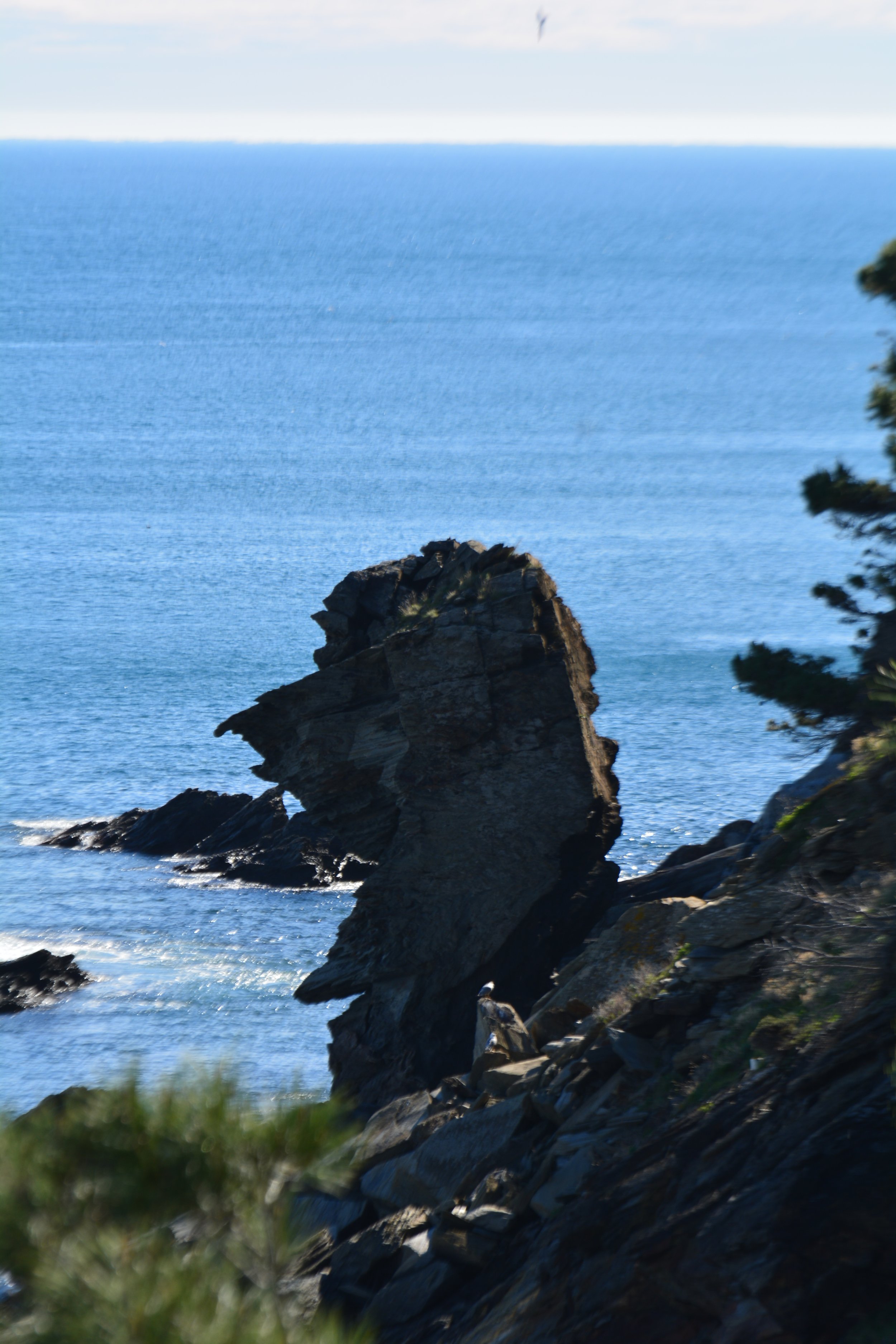 Sa rocassa, camí de Sa sabolla, camins de Ronda, Cadaqués, Costa Brava.
