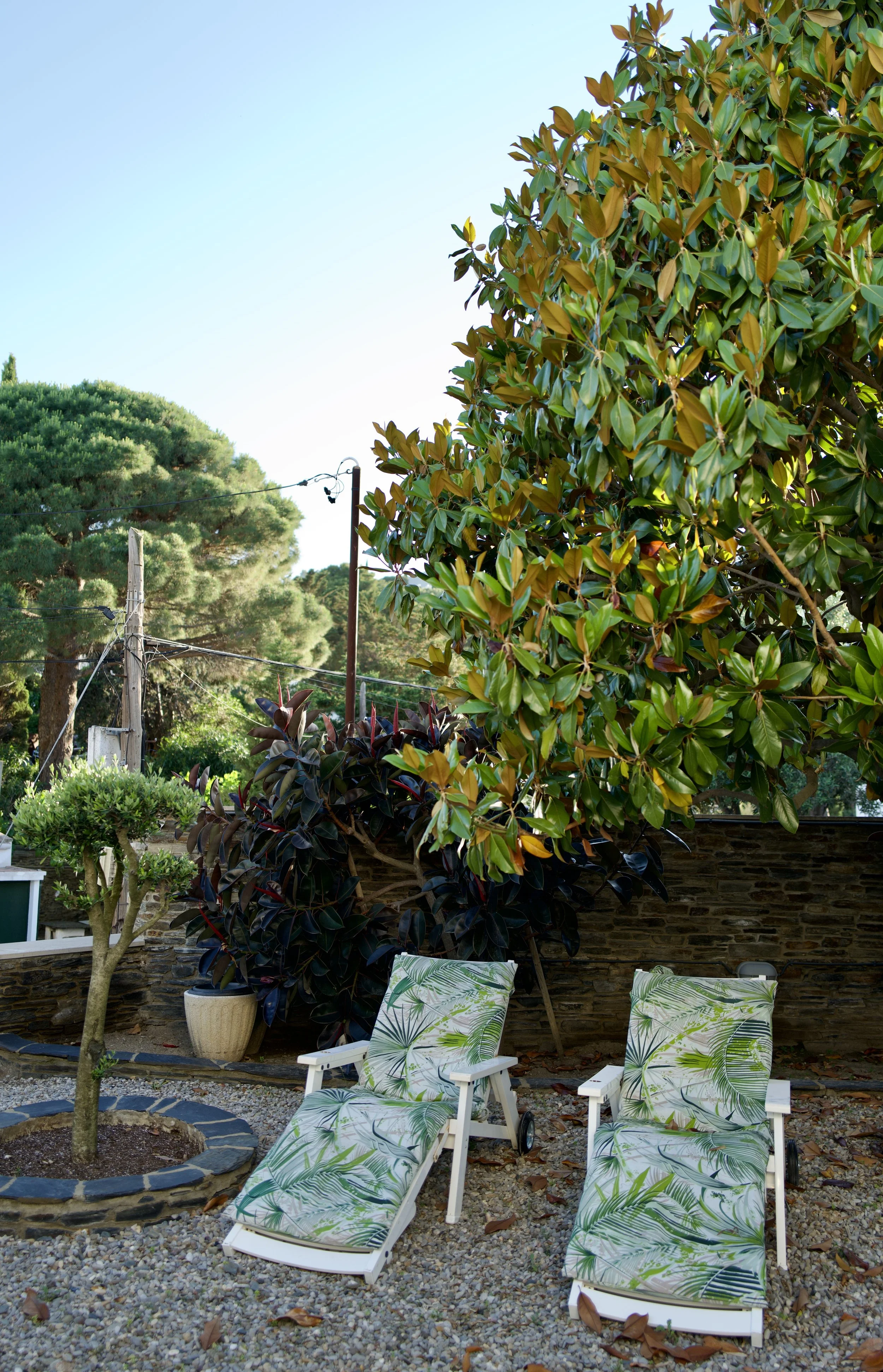 Tres sillas de jardín con cojines con estampado de hojas verdes, en un patio con plantas y árboles, y un muro de piedra al fondo.