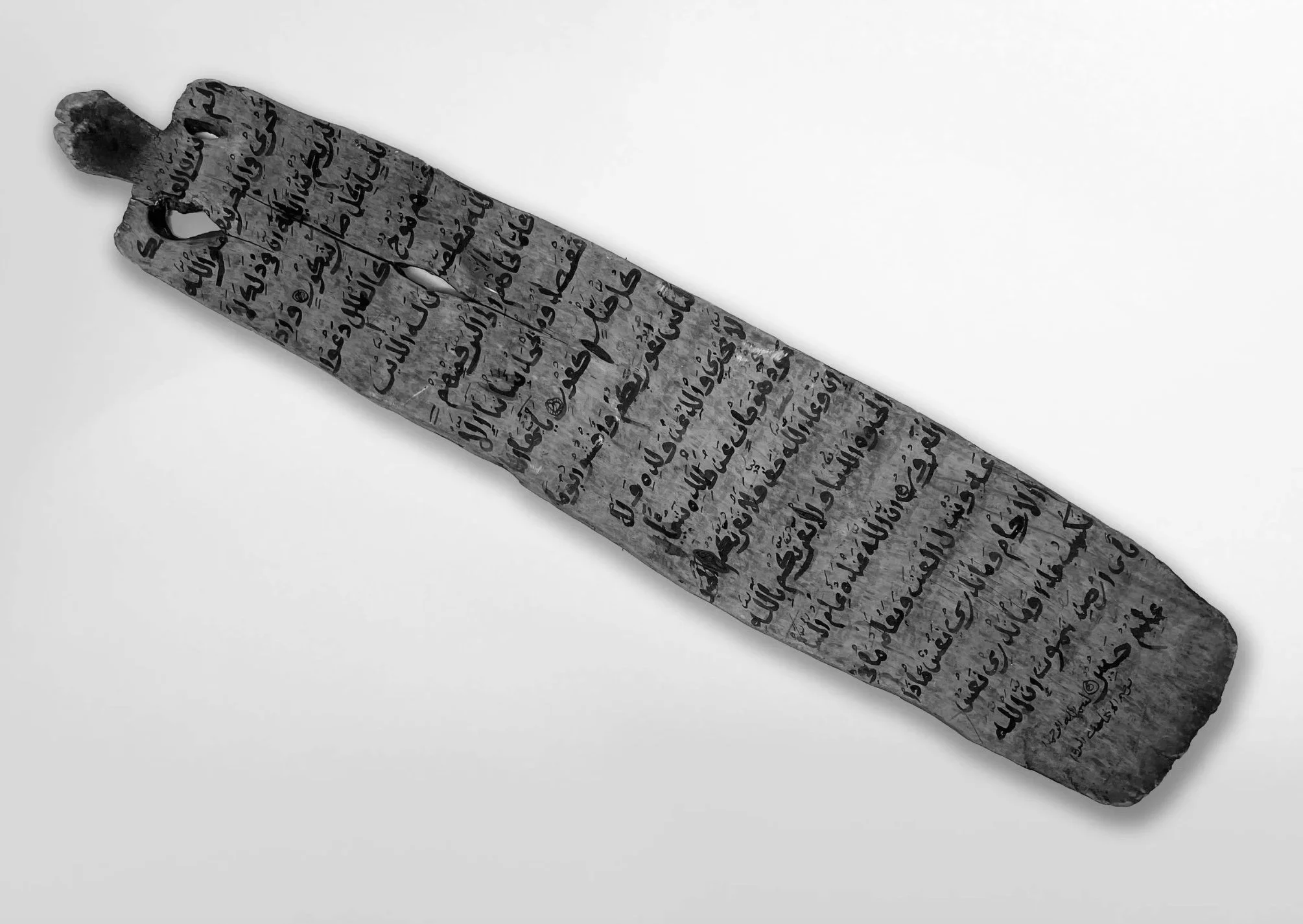 Screenshot 2026-02-16 at 4.42.13 PM.jpg