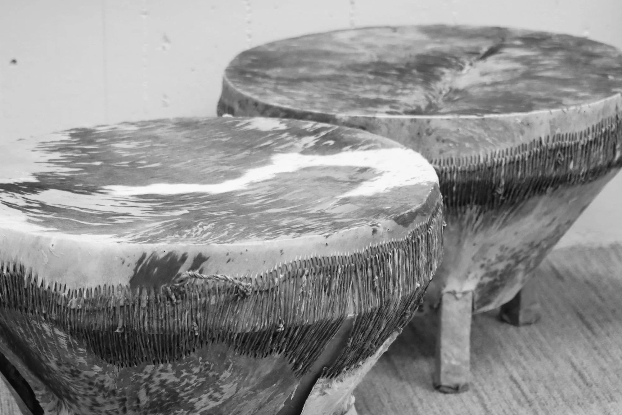 Screenshot 2026-02-16 at 4.42.28 PM.jpg