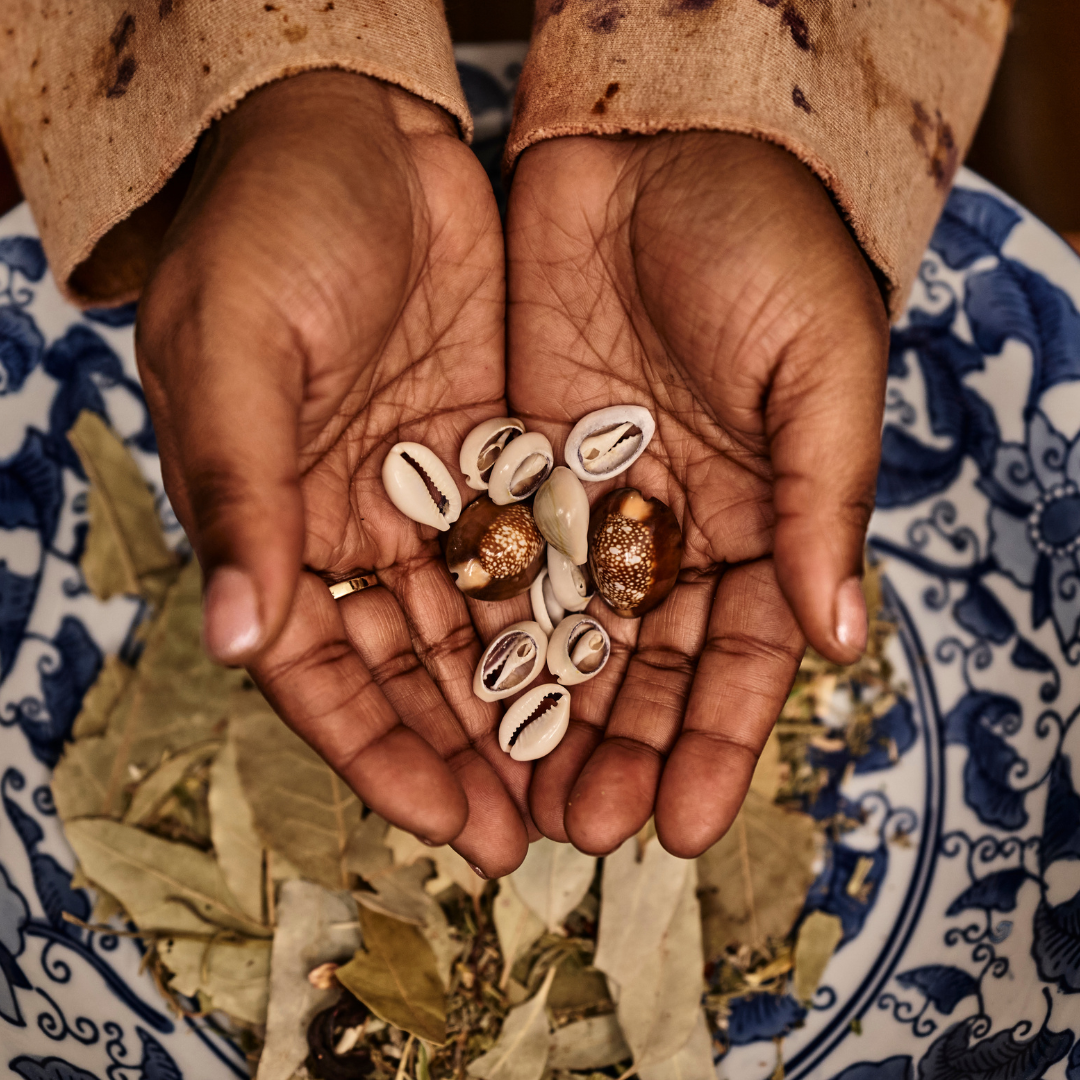 Hands cupping a heart-shaped arrangement of seashells and coffee beans over a blue patterned plate with dried leaves.