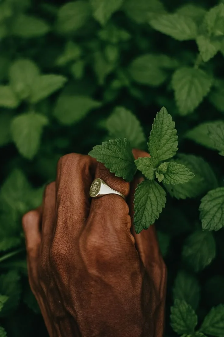 A person with dark skin wearing a silver ring on their finger touching green mint leaves.