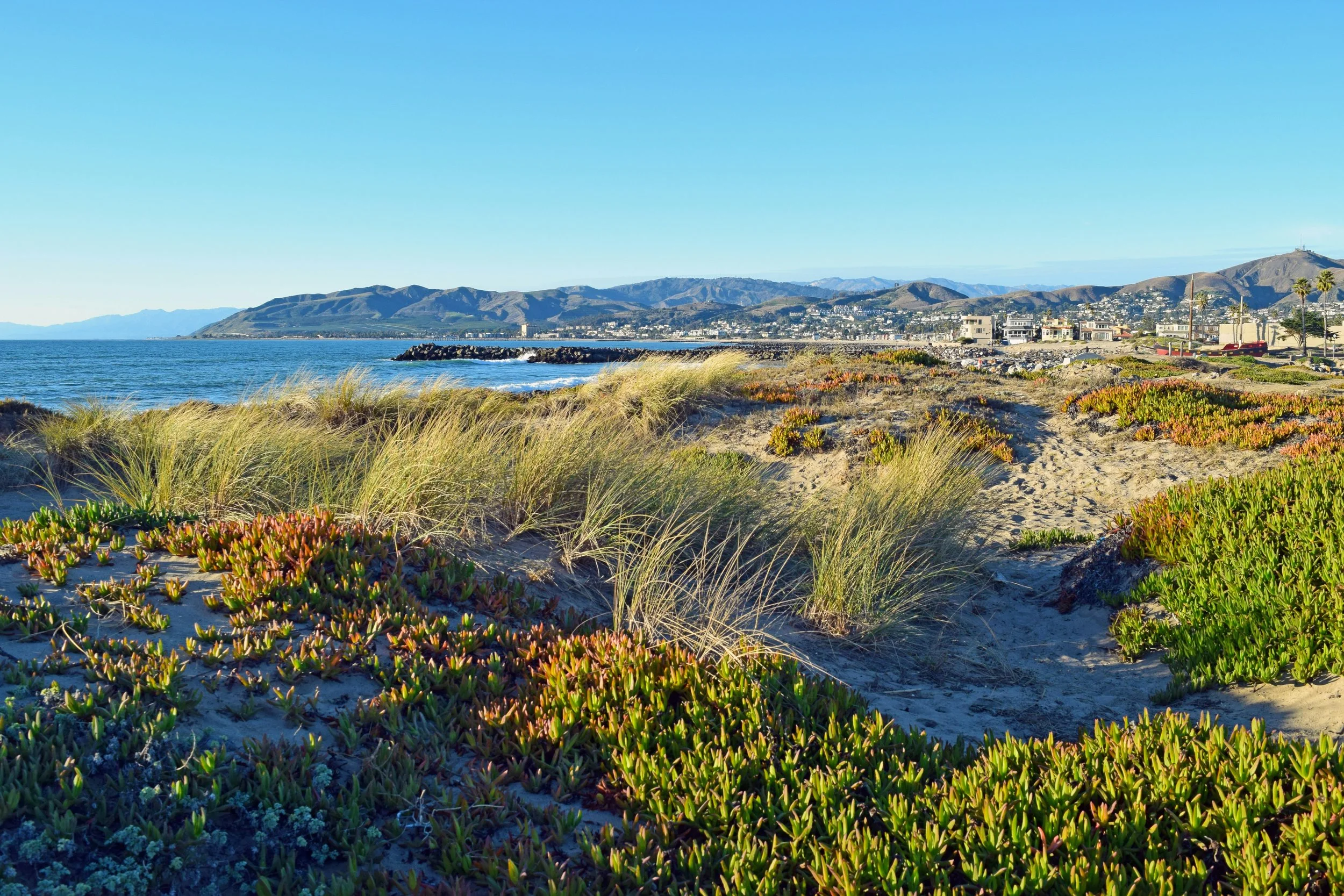 Coastal scene with sandy beach, green and brown plants, ocean, and distant mountains under a clear blue sky.