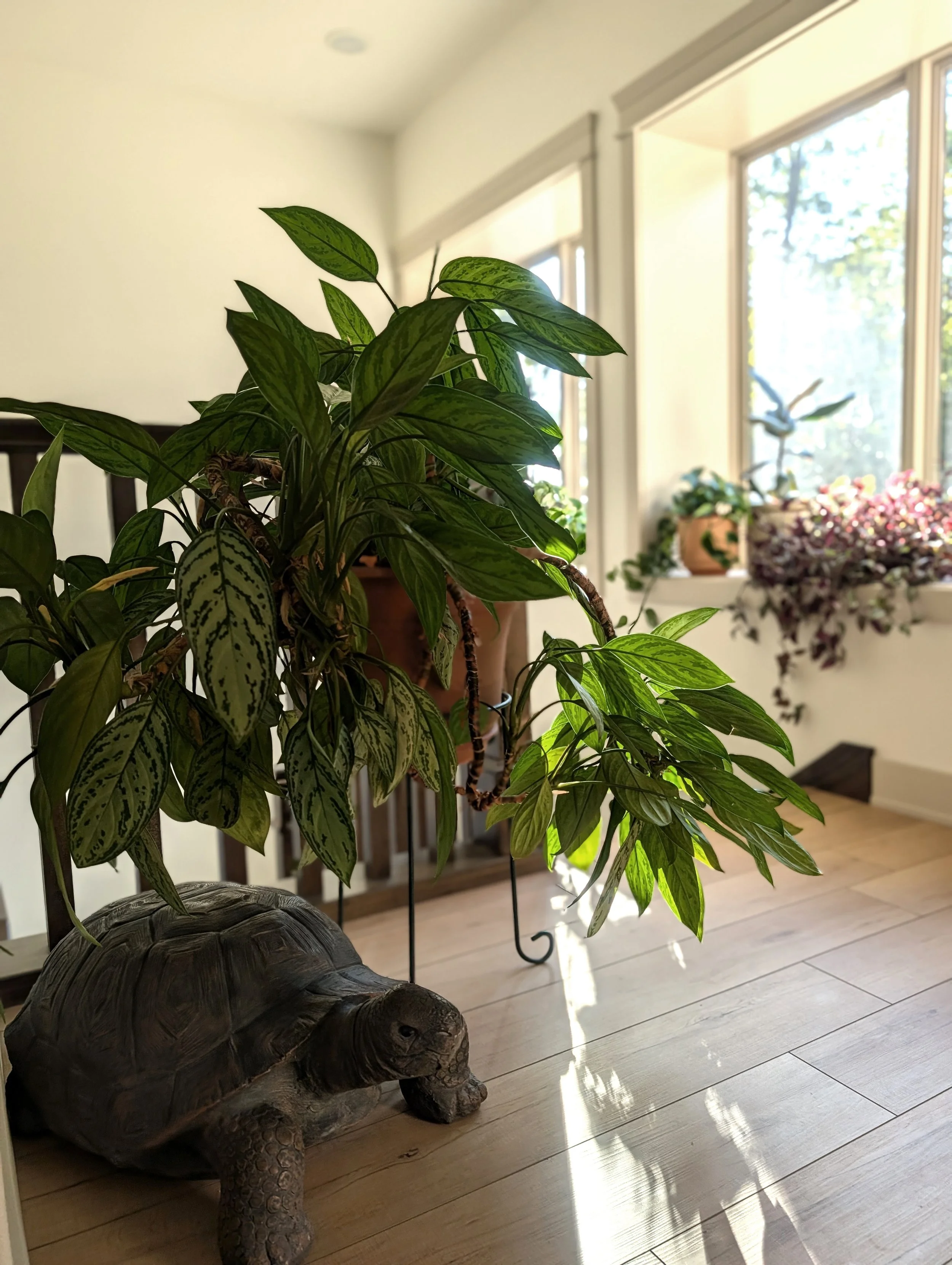 Oak Hollow-Entry Top of Stair.jpg