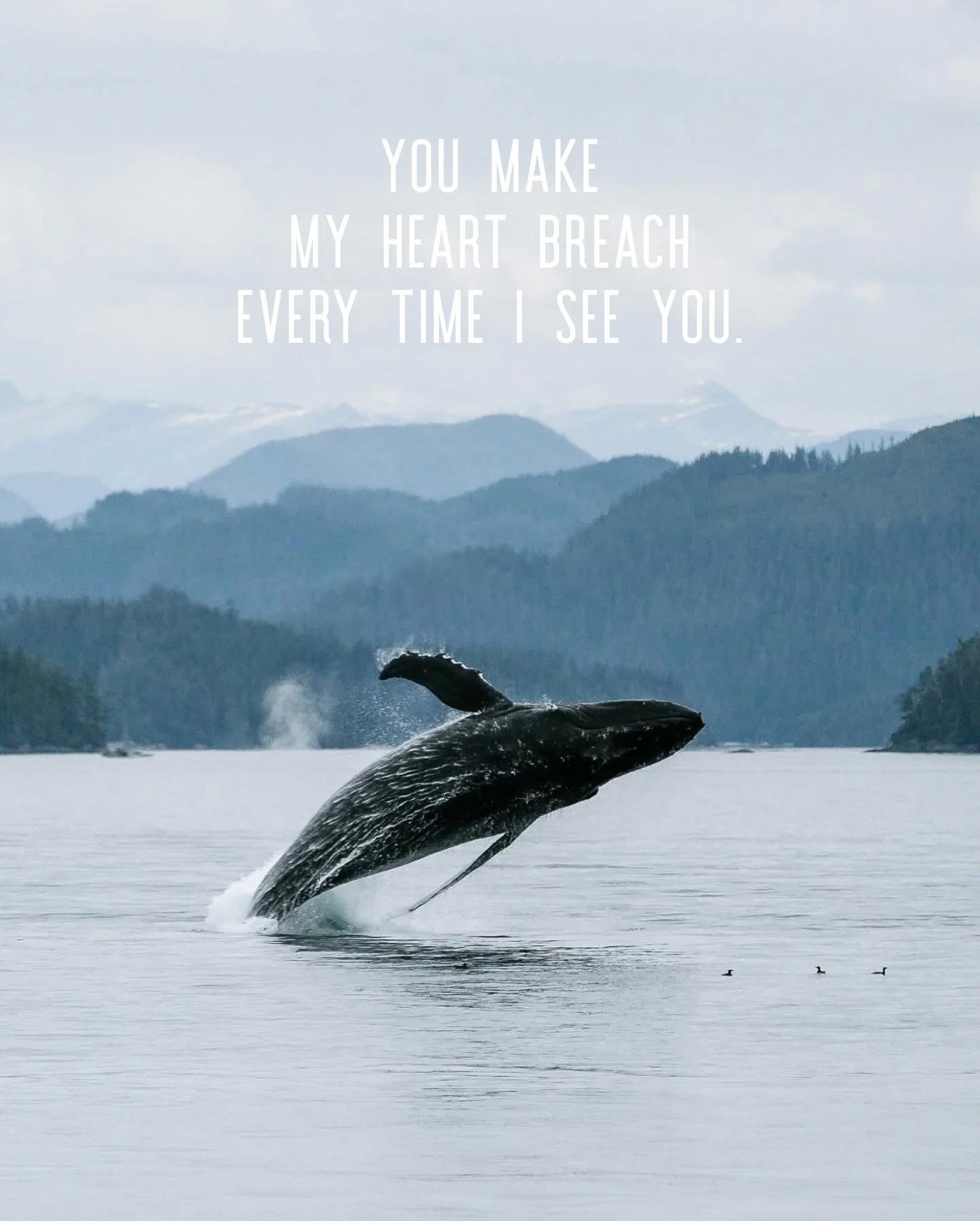 Happy Valentine&rsquo;s Day 🖤🌲🌊