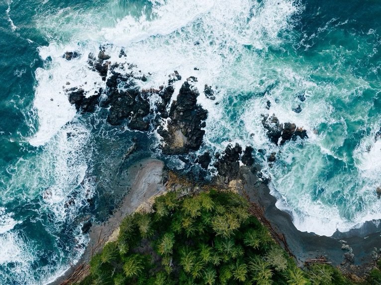 This October, @westcoastlife @geoffheith and @seawolfadventures are teaming up for a photography + video workshop on northern vancouver island &mdash; and apparently half the battle these days is just figuring out how to get the right people to even 