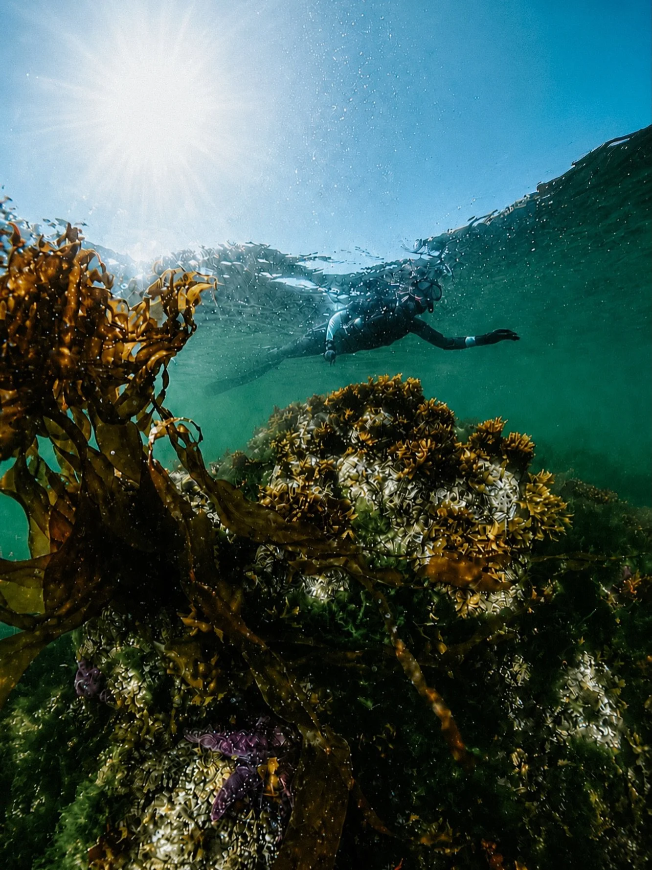 diving into this week like&hellip;