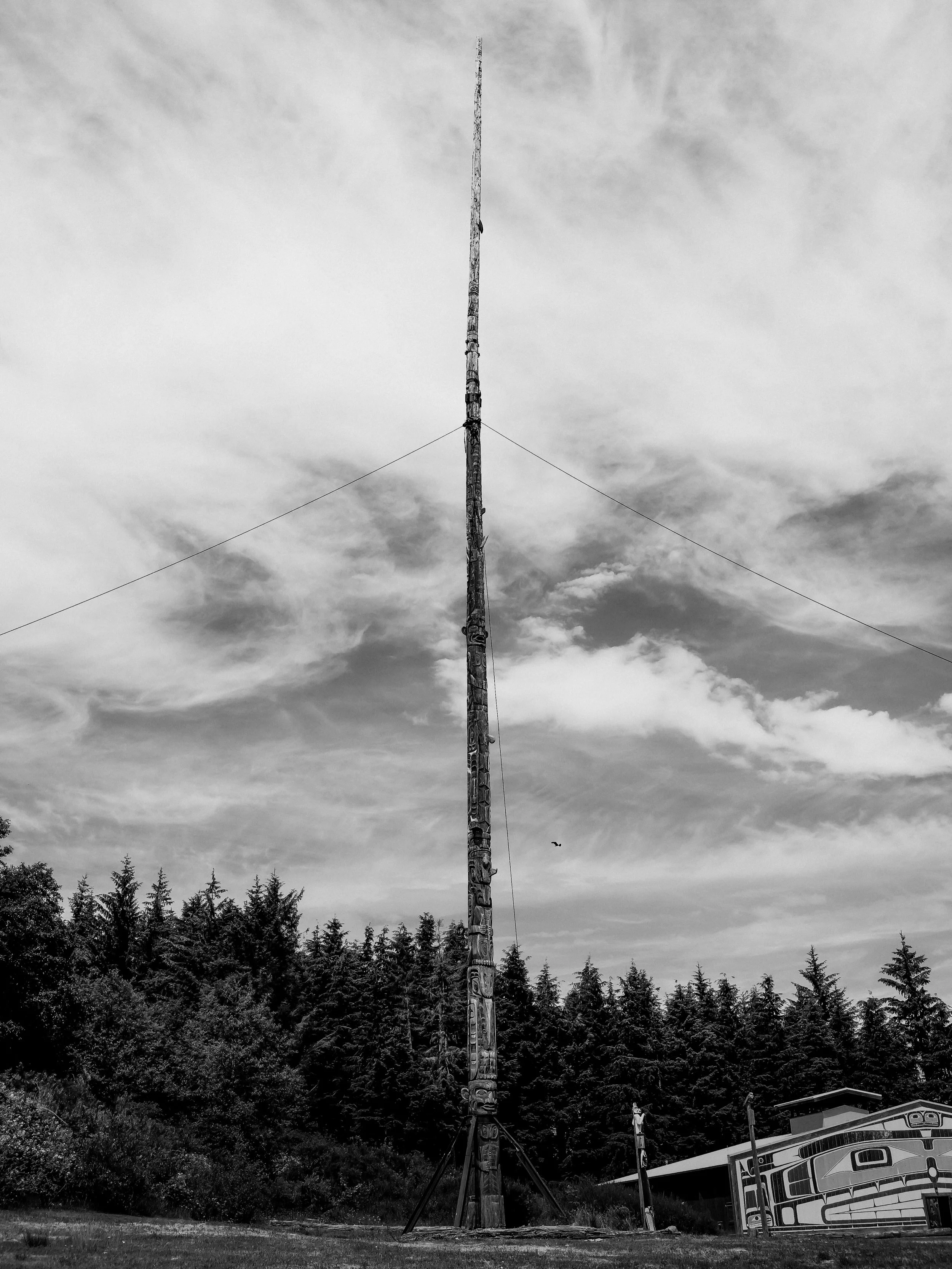 A historic and emotional day over in Alert Bay today, as the world&rsquo;s tallest totem pole came down.

I remember being so amazed by this pole growing up especially my papa driving us around as kids to see it making it a tradition as I grew older 
