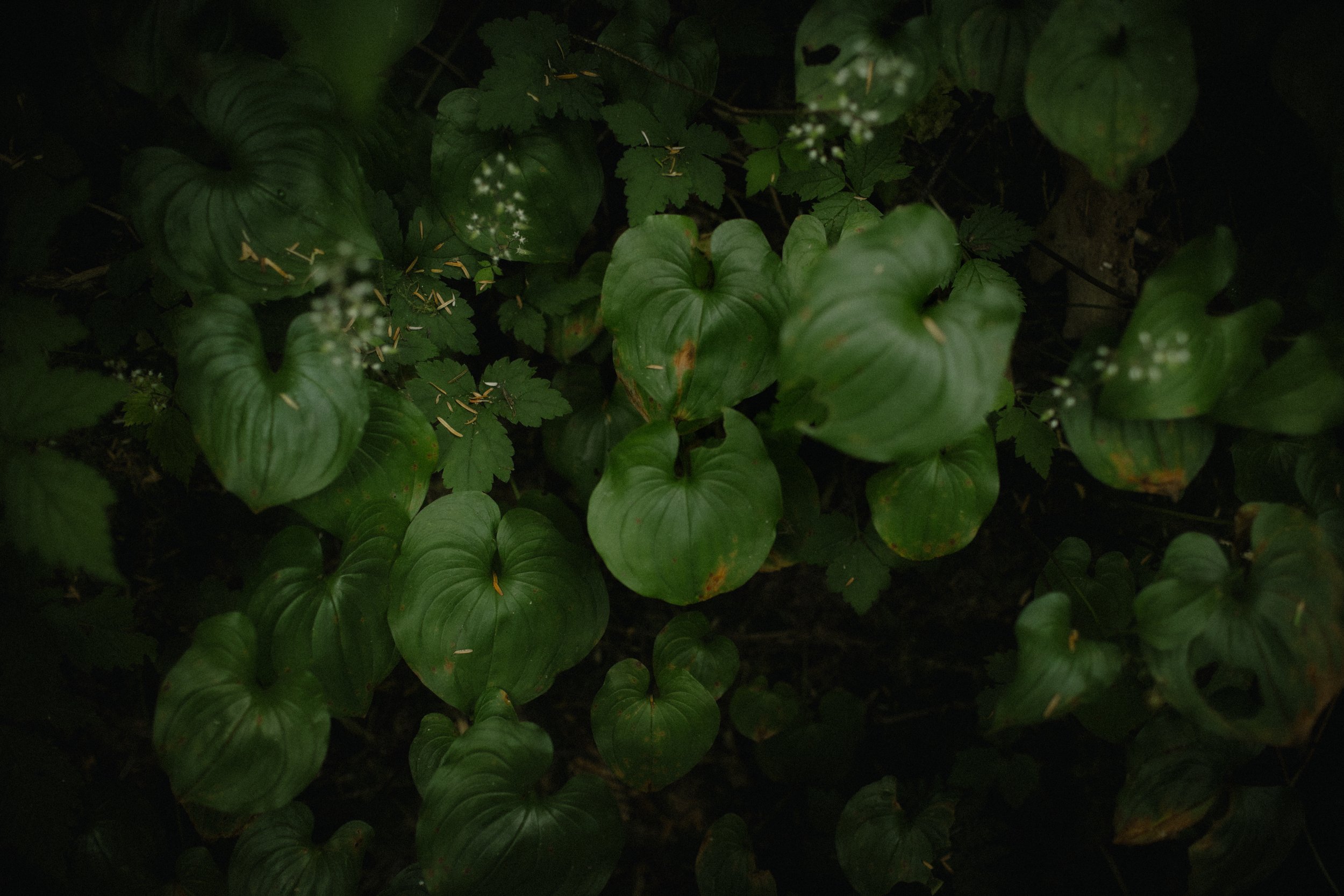 LK_Elopement_SanJosefBay-294.jpg