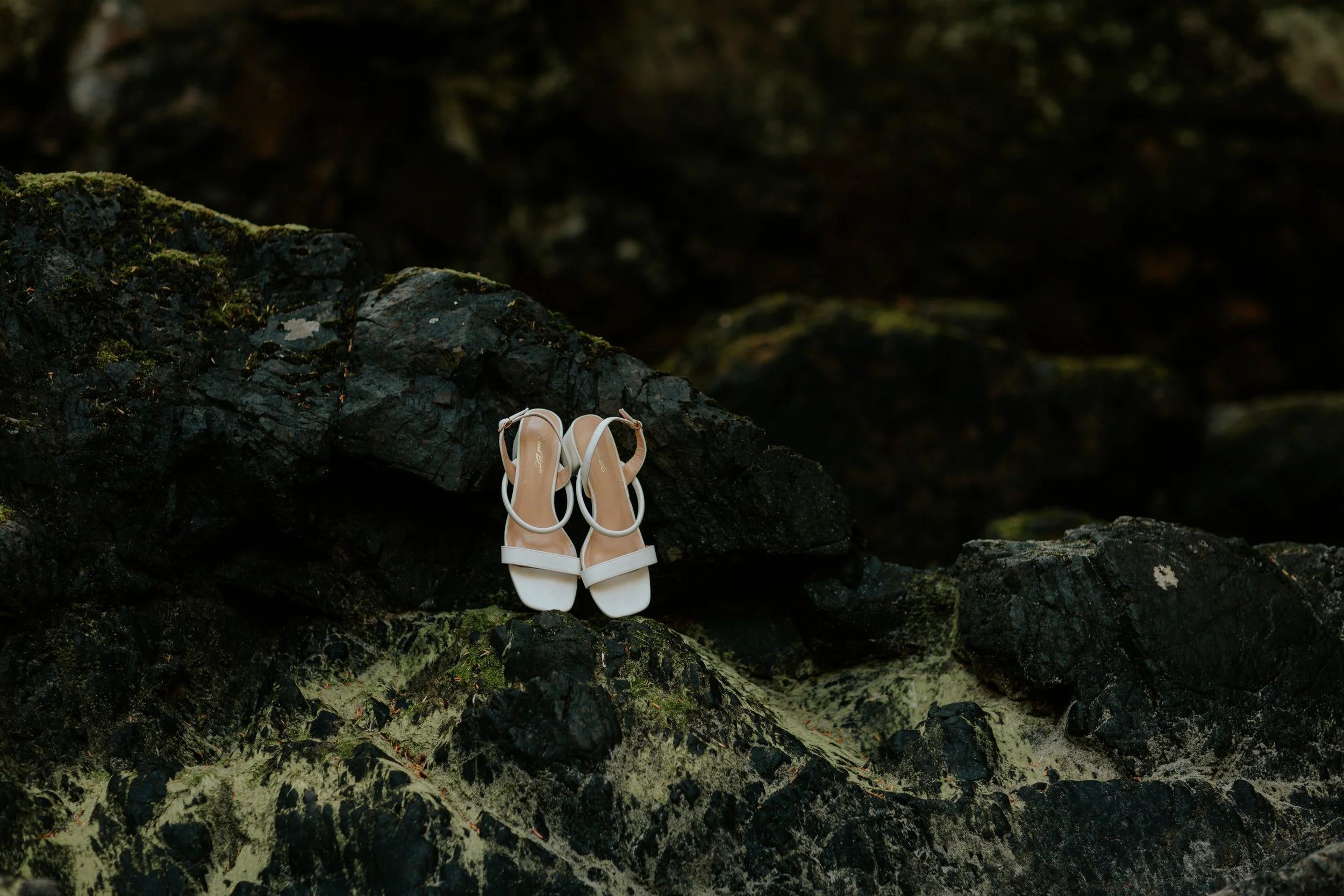 LK_Elopement_SanJosefBay-10.jpg