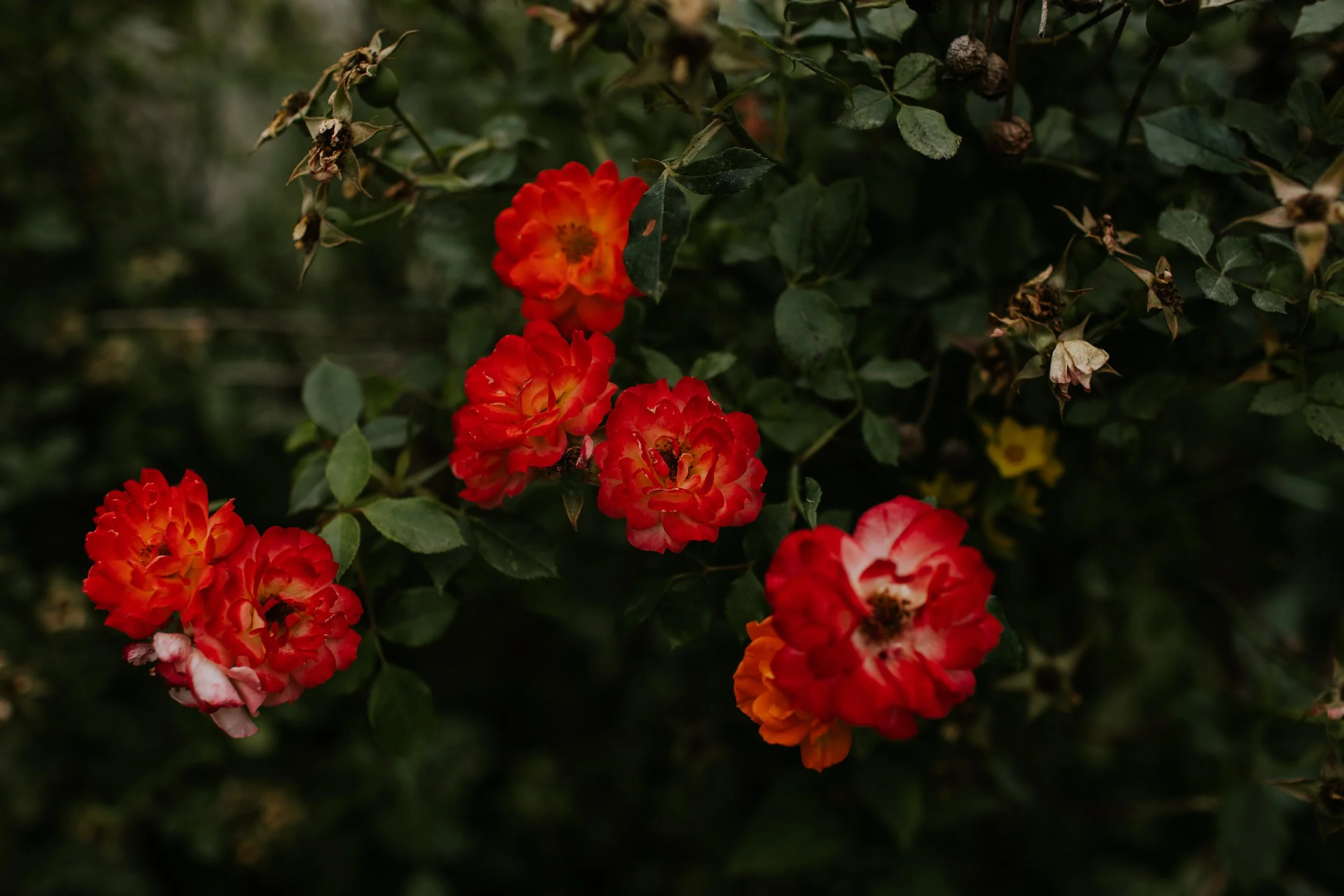 LK_Elopement_SanJosefBay-308.jpg