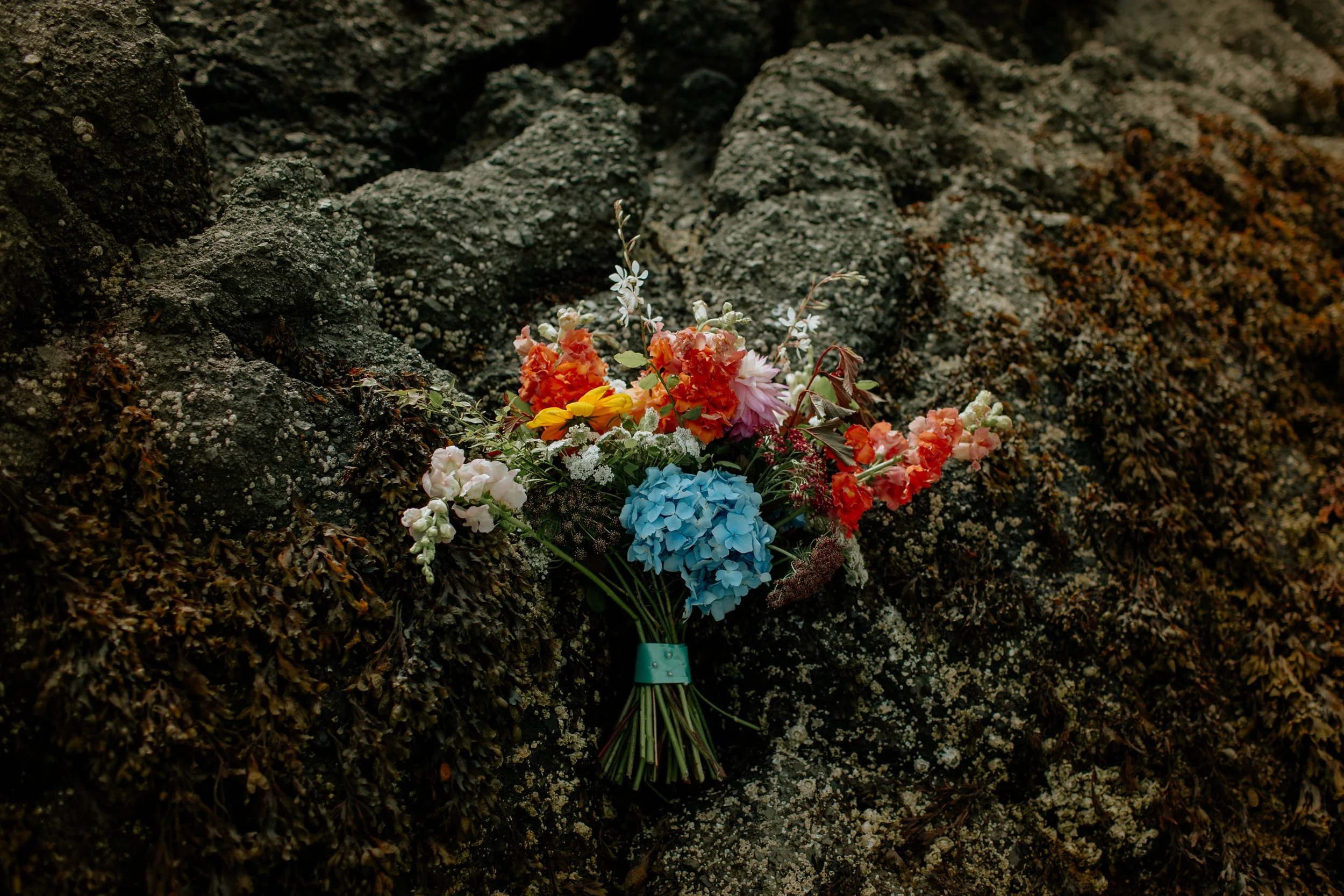 LK_Elopement_SanJosefBay-122.jpg