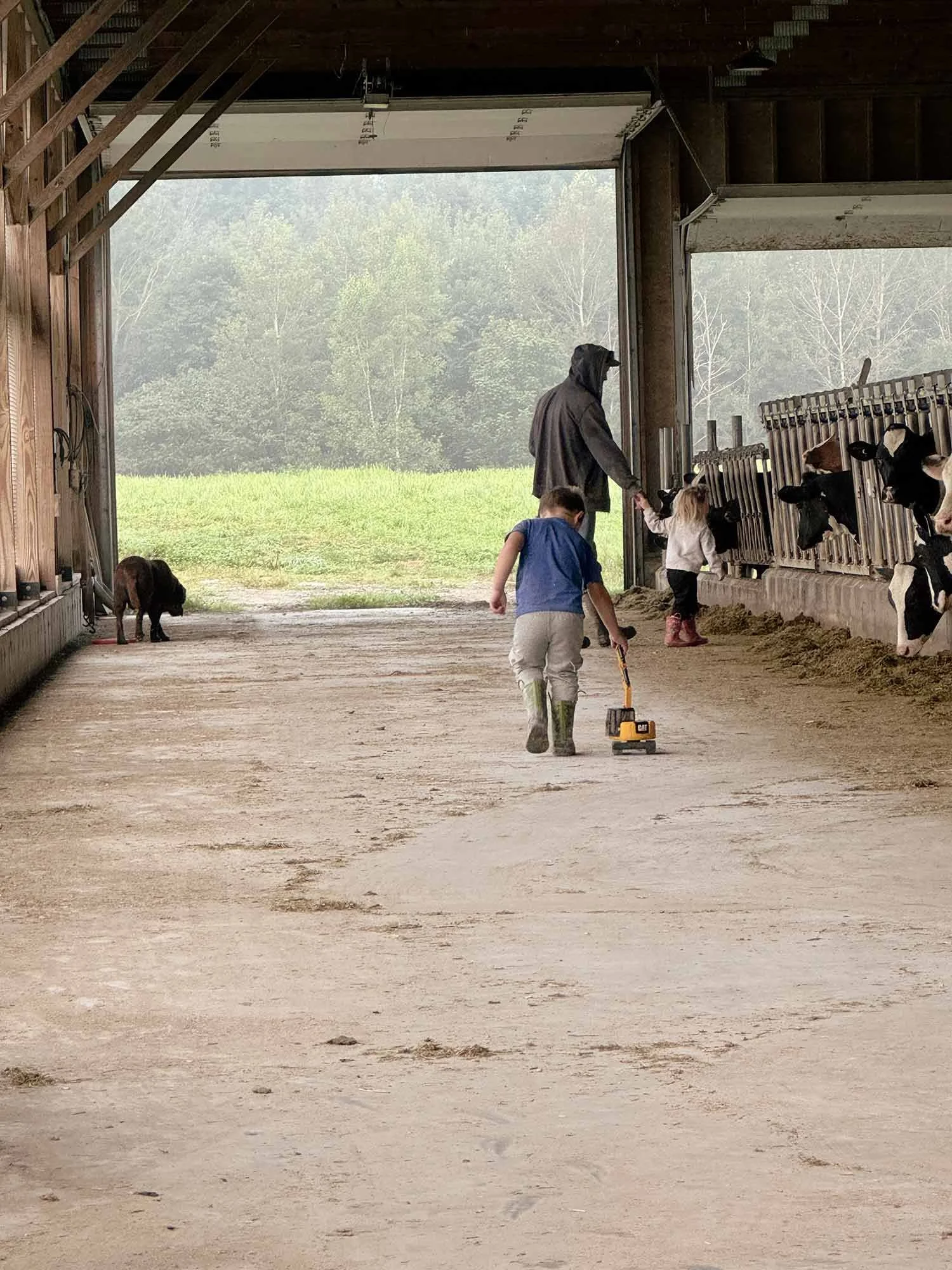Children and a person inside a barn, with calves in feeding stalls and a small dog on the ground, overlooking a farm landscape.