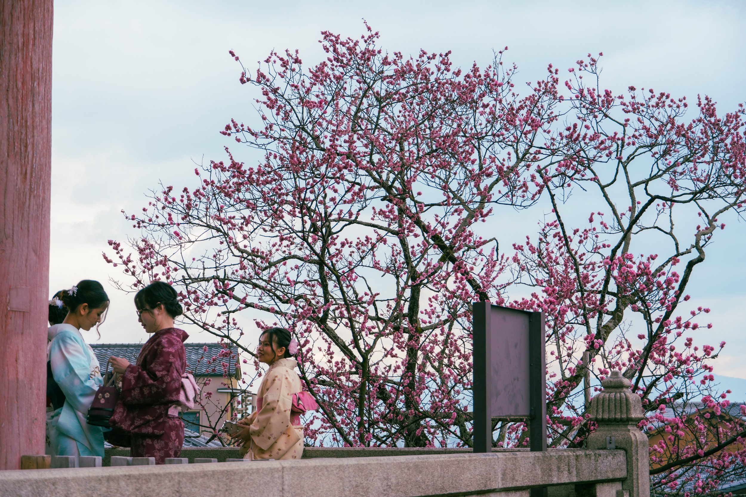 DSC03193.jpeg