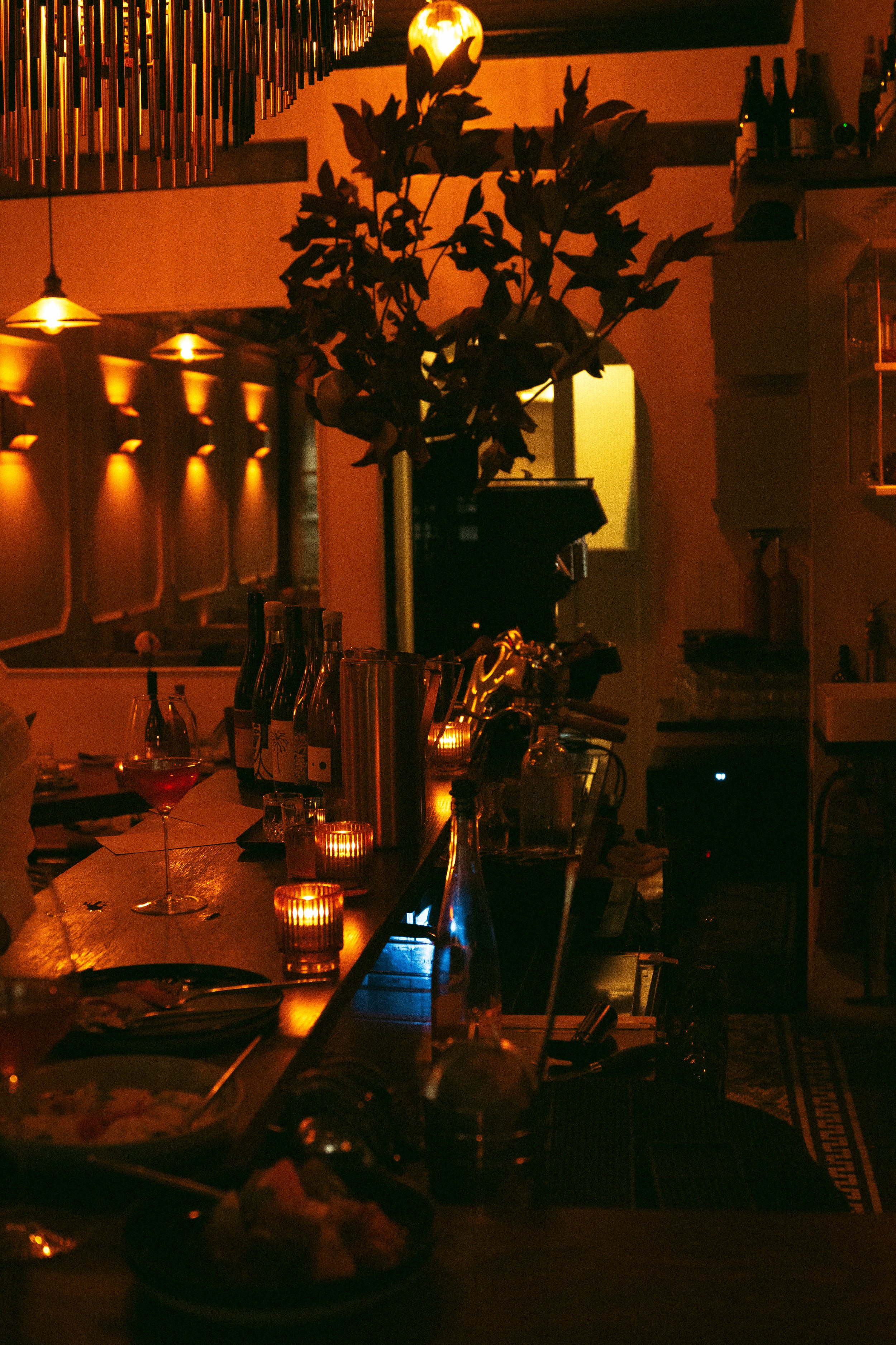 DSC05792.jpeg