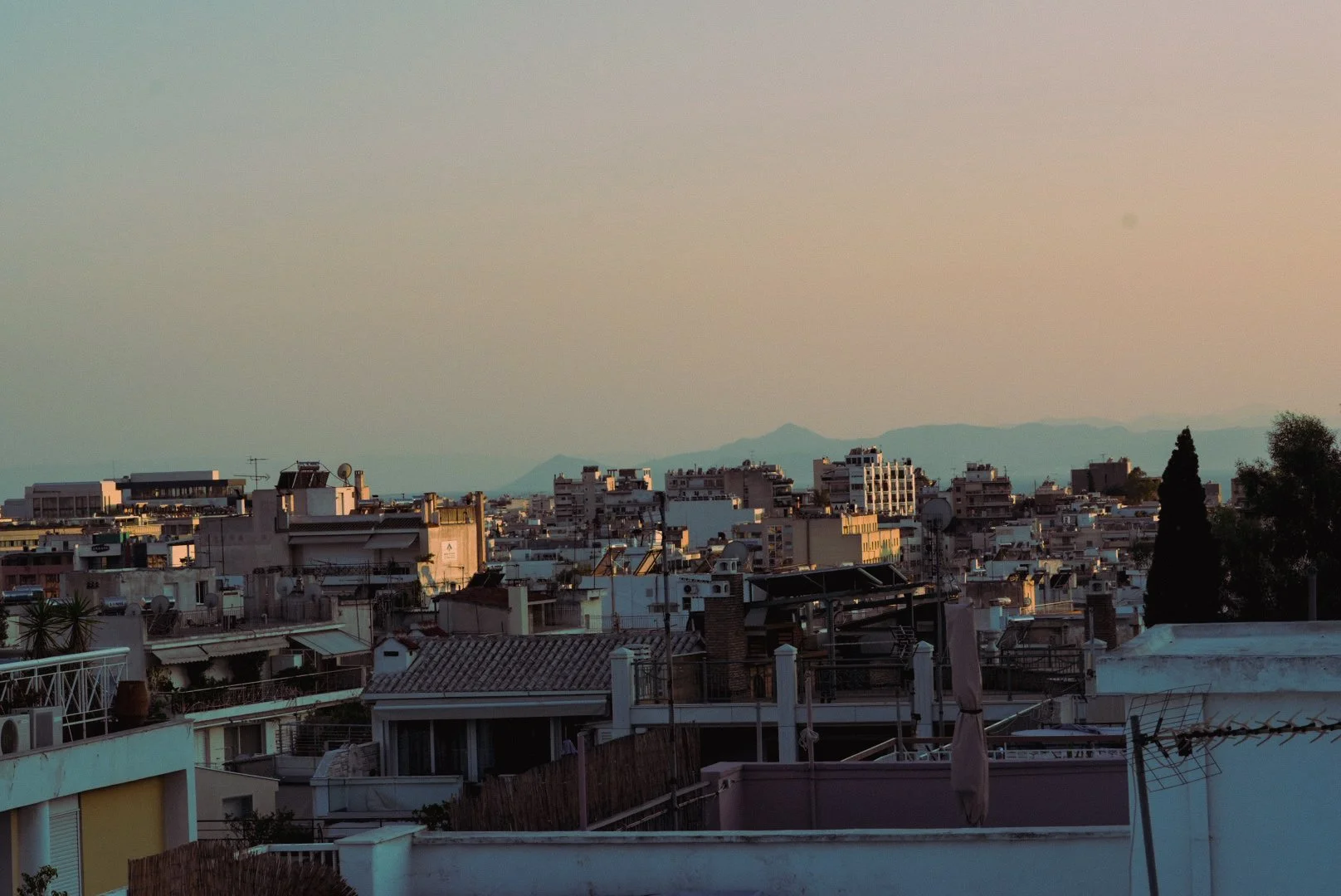 DSC04516.jpeg