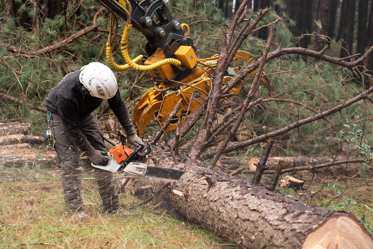 A person wearing safety gear, including a helmet, is cutting a fallen tree with a chainsaw in a forested area. A large yellow hydraulic forestry machine is in the background.