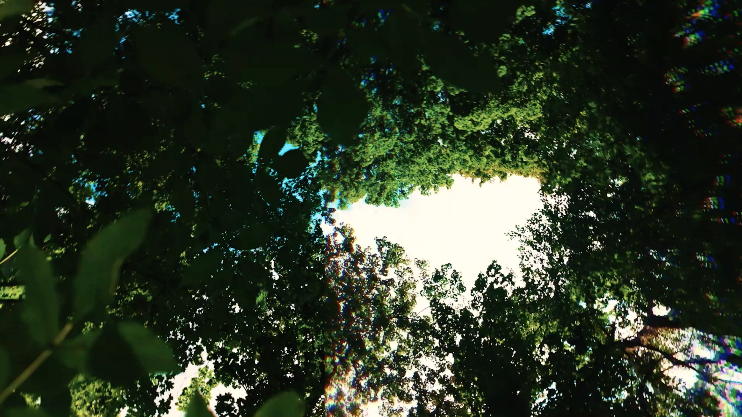 Startbild - Explore.png