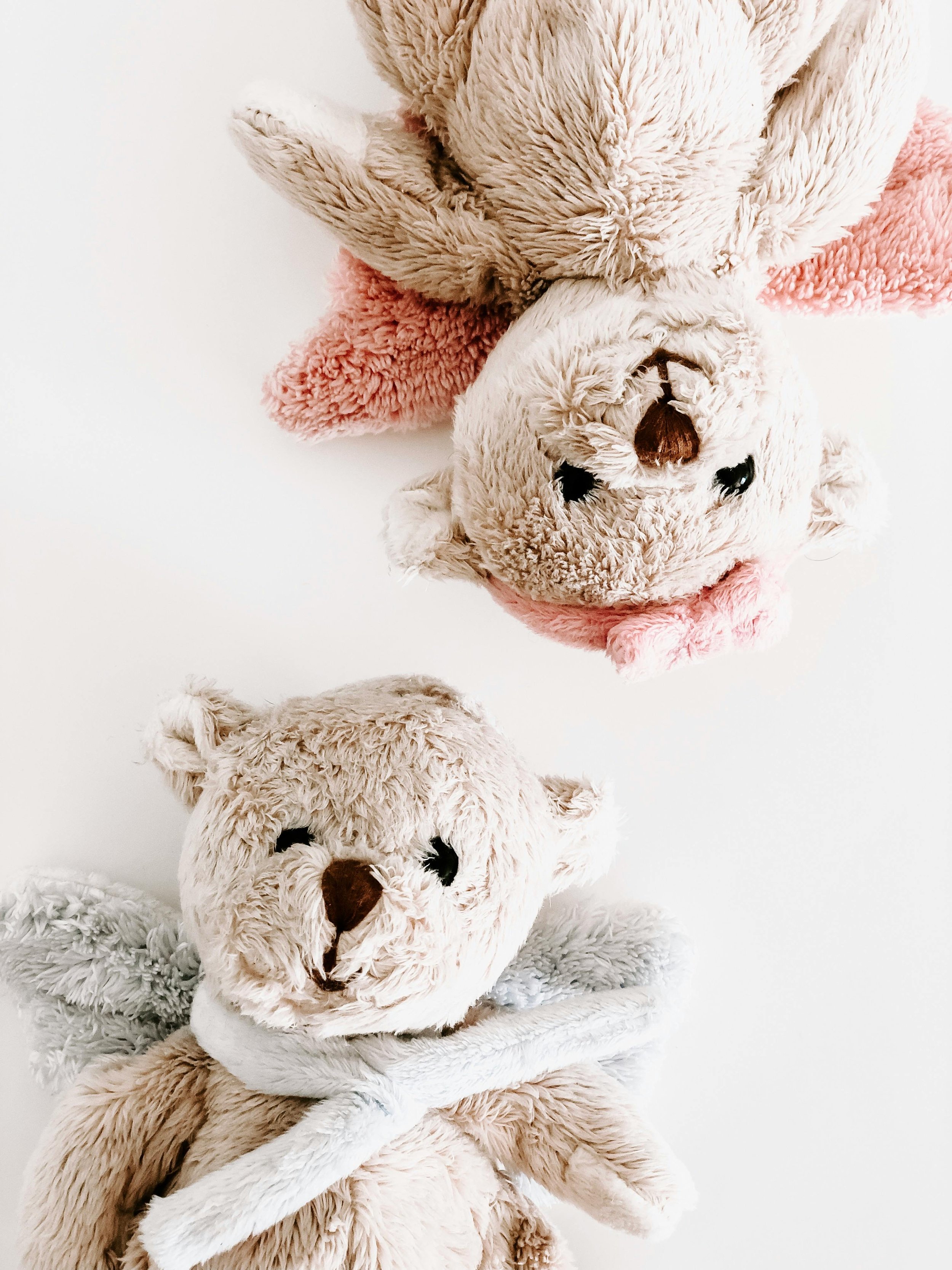 Two plush teddy bears, one with pink accents and one with white accents, placed on a white background.