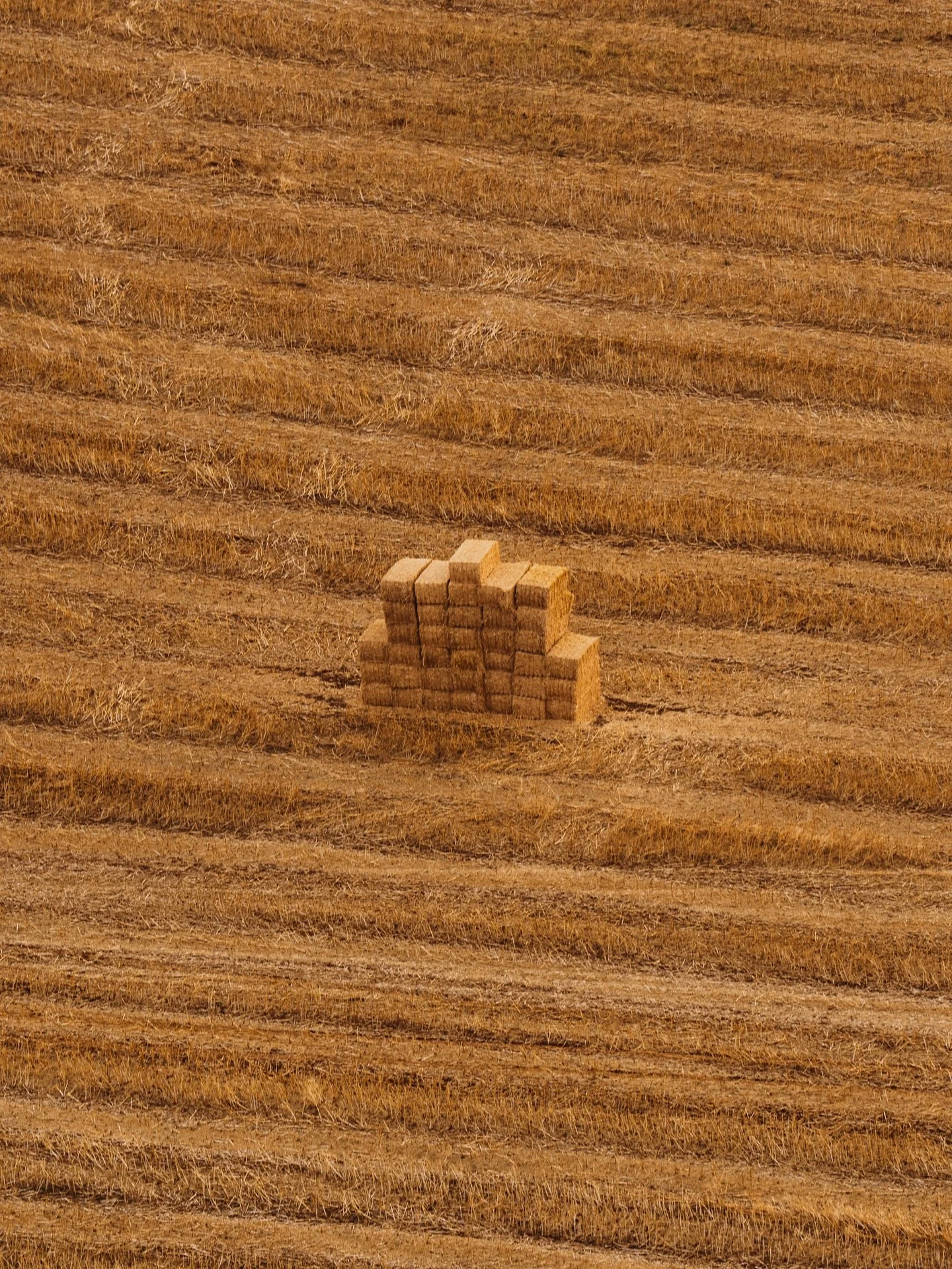 Petit eye contact avec une Charolaise de la photo 6
&bull;
&bull;
&bull;
&bull;
&bull;
&bull;
&bull;
&bull;
&bull;
&bull;
&bull;
#montgolfi&egrave;re #photographer #bourgogne #baloon #hotairballoon