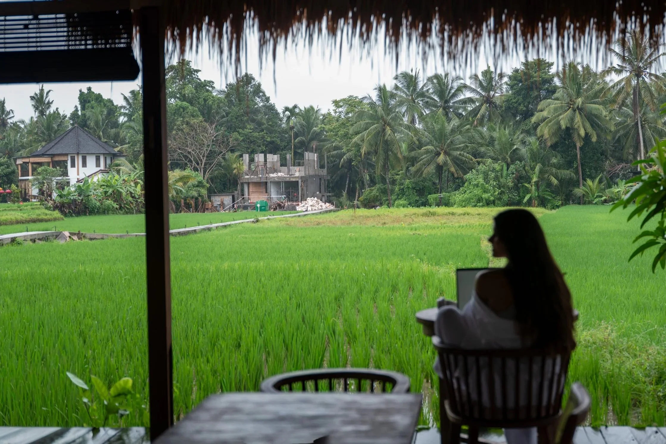 Close-up of dry, fallen brown leaves with visible veins.