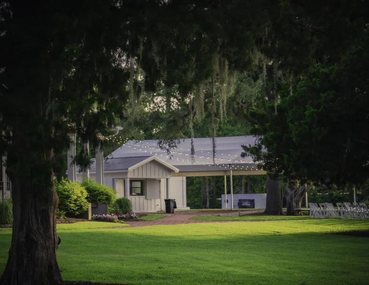 Gulf Coast home exterior framed by a large oak tree