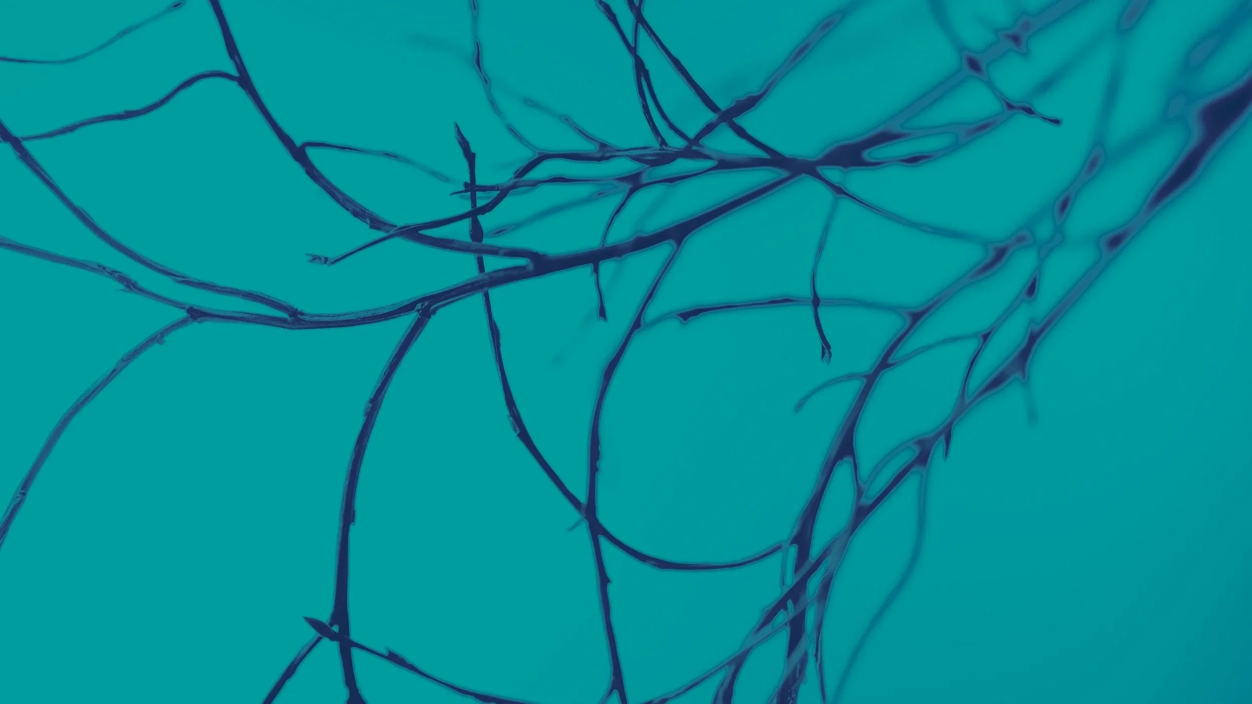 Illustration of narrowed blood vessels representing peripheral artery disease and poor circulation