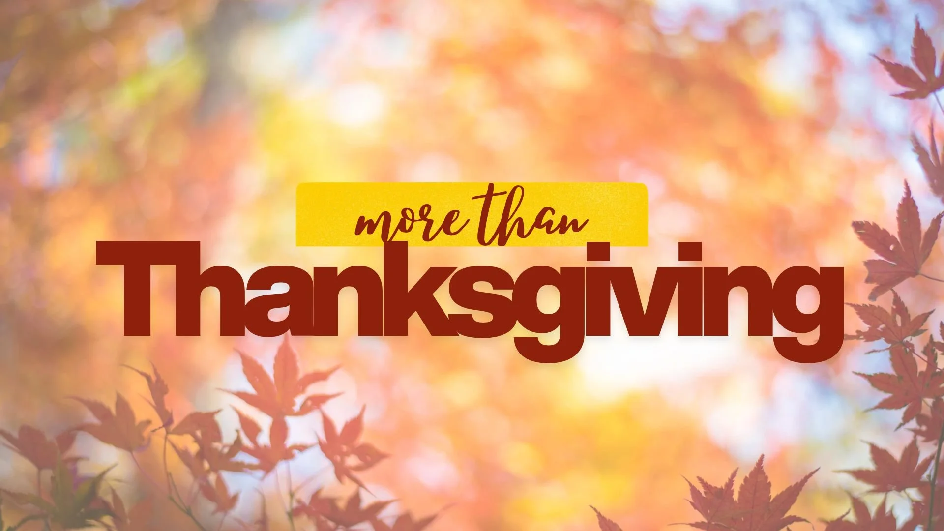 More Than Thanksgiving