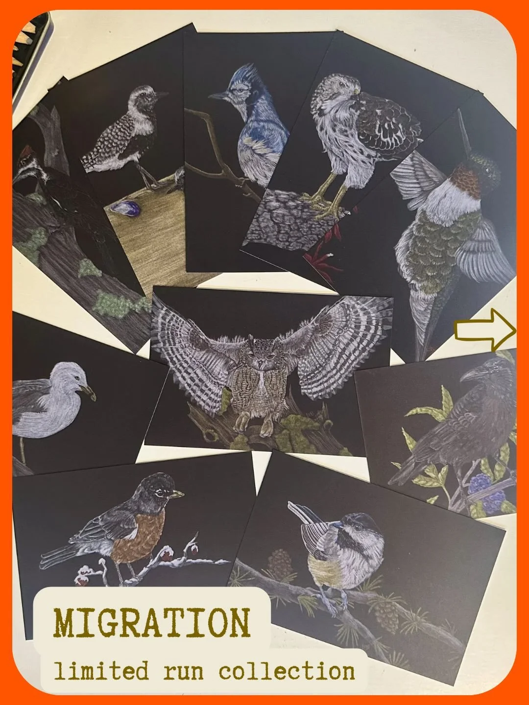 Happy equinox! I&rsquo;m so very excited to announce that my Migration Spring collection is officially available at artisticreciprocity.com (link in bio)! After 100 hours of drawing birds this February, and a lot of work in preparation this month, my