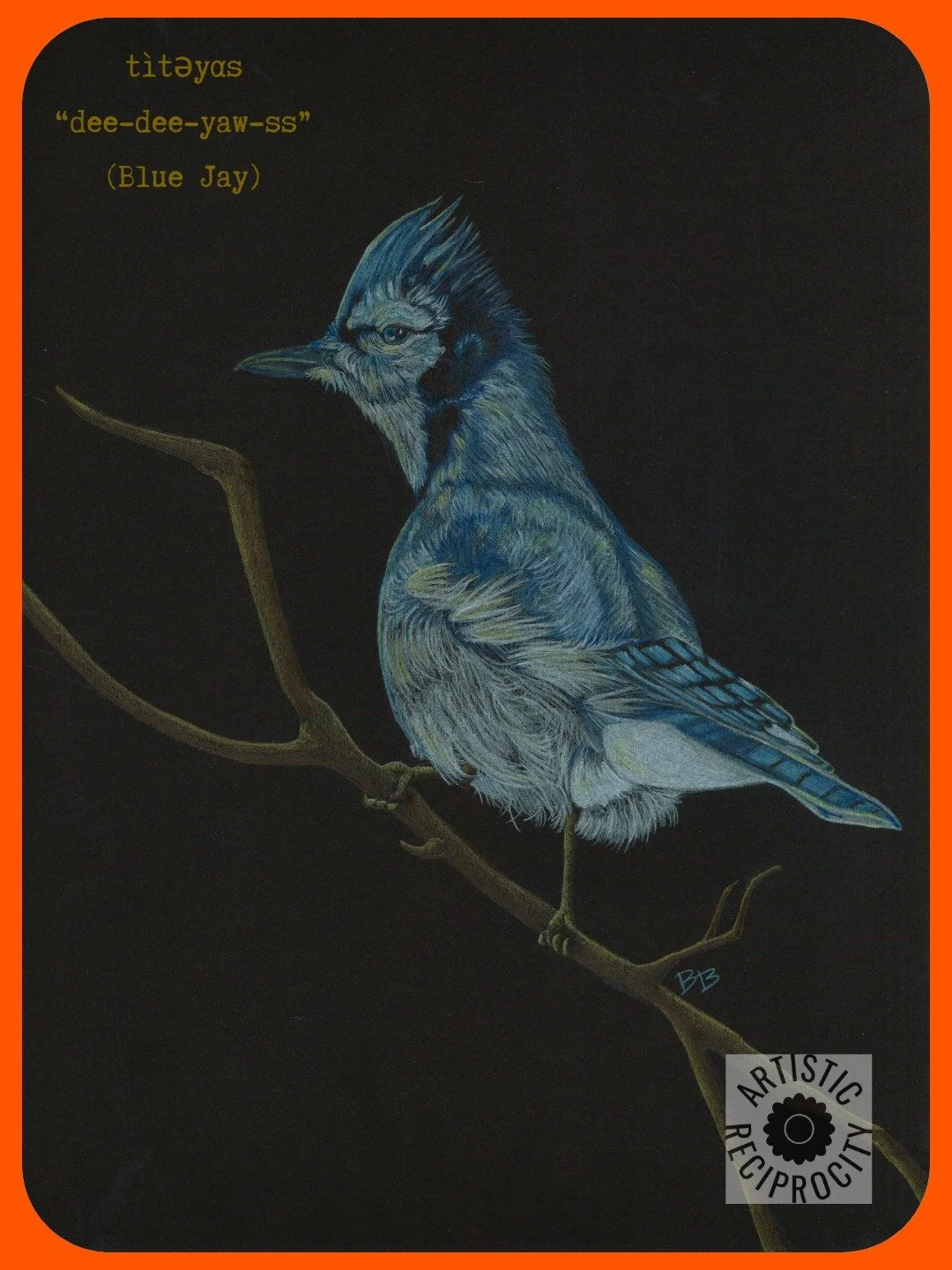 titeyas
Prints, postcards, cards, and more are available at artisticreciprocity.com (Link in bio).
What's your favorite bird?
#birds #shoplocalart #springcollection #indigenousartist #coloredpencildrawing