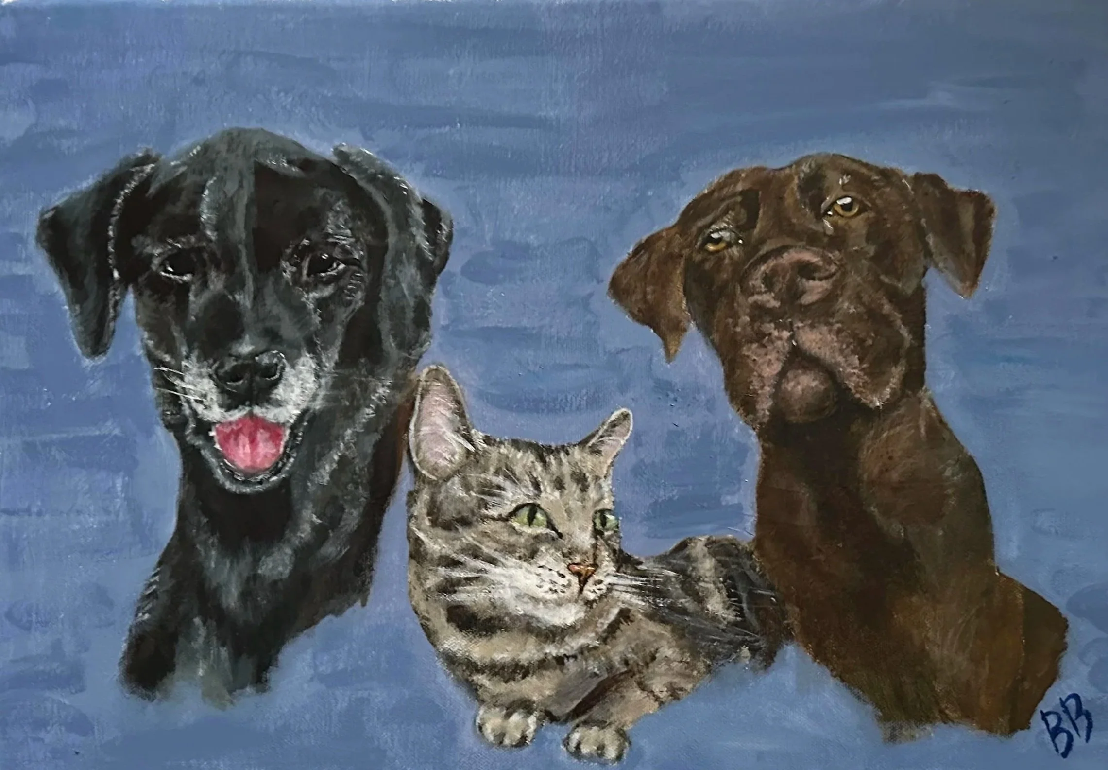 pet+portrait+2.jpg