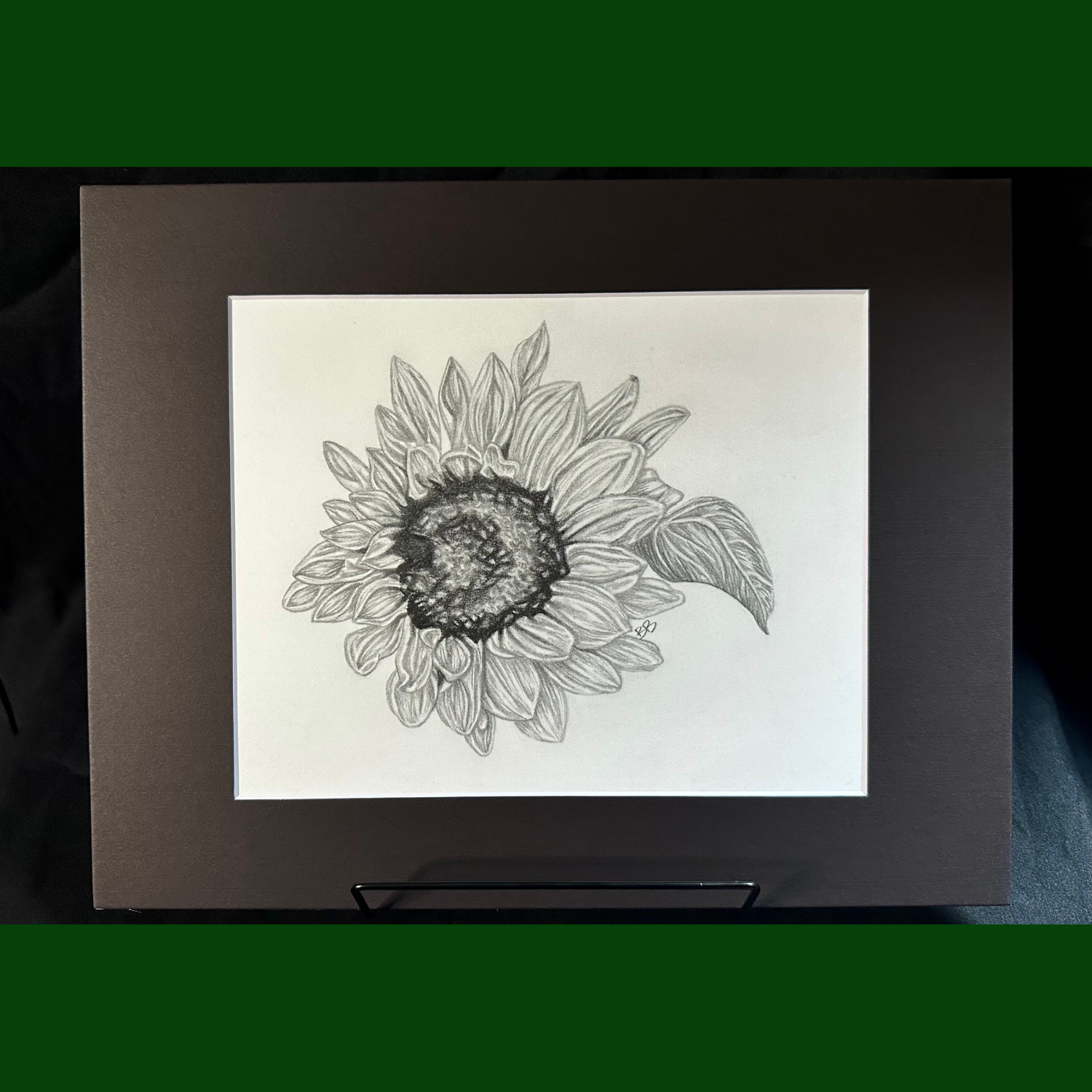 Sunflower L.png