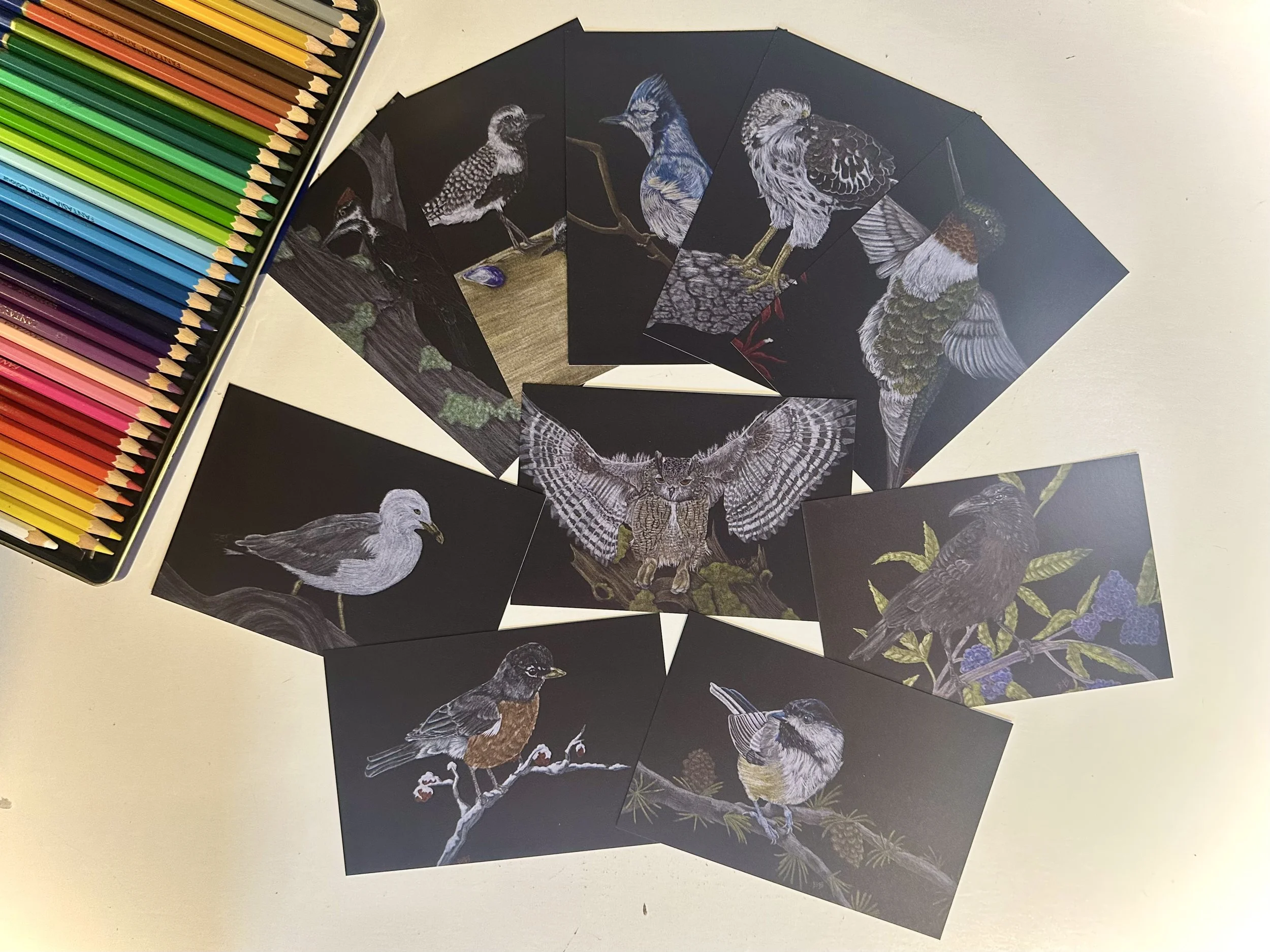 Migration Postcards - 10 Pack