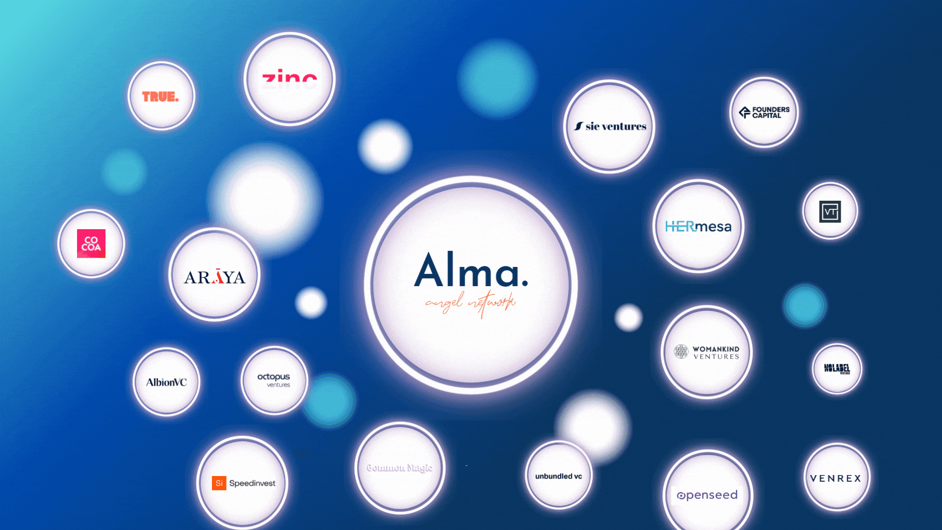 Alma portfolio in Dealroom
