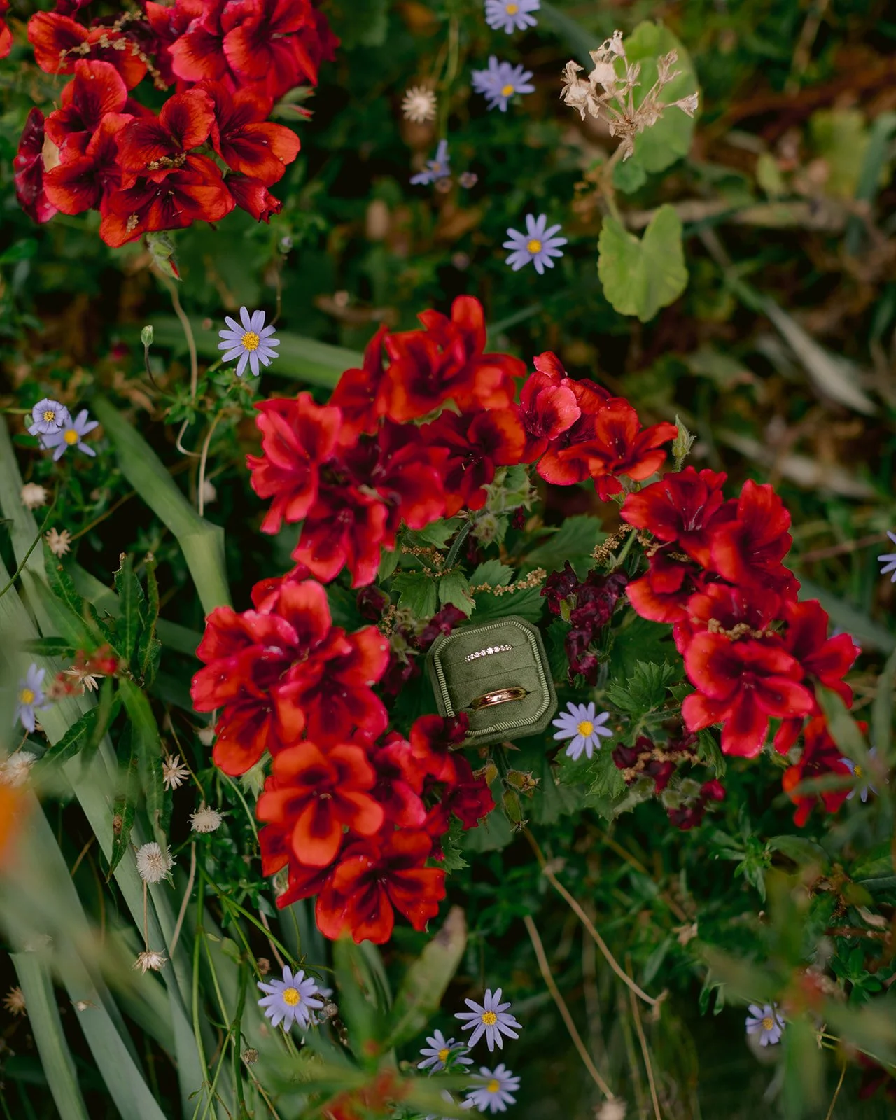 Wedding ring detail in floral landscape.