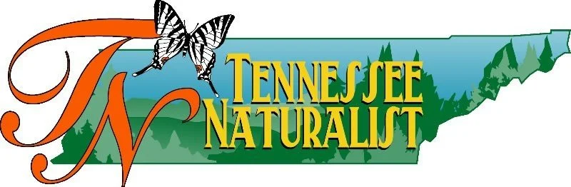 naturalist-program-logo.jpg