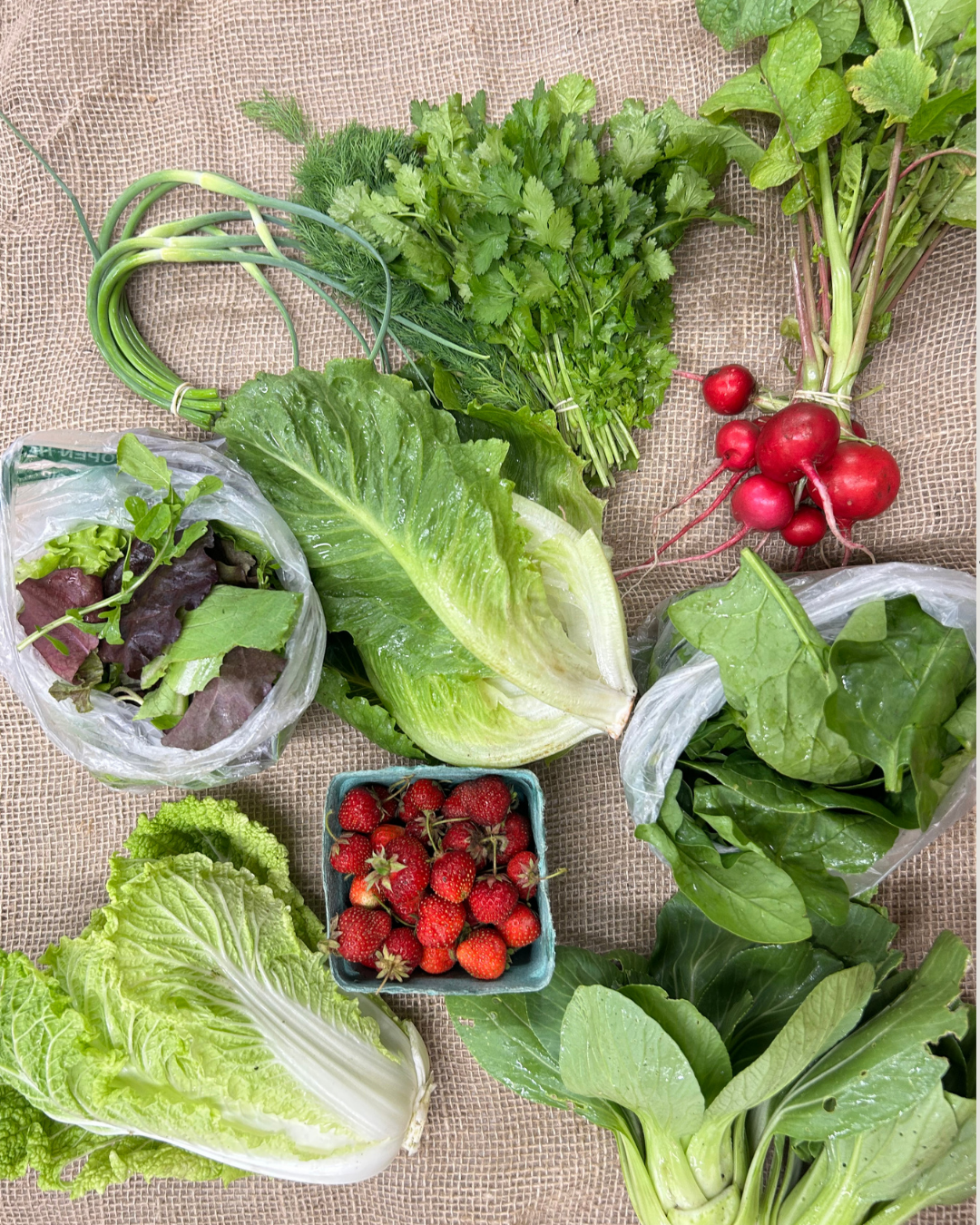 2027 CSA Share - Upfront Payment
