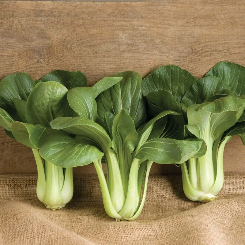 Bok Choy