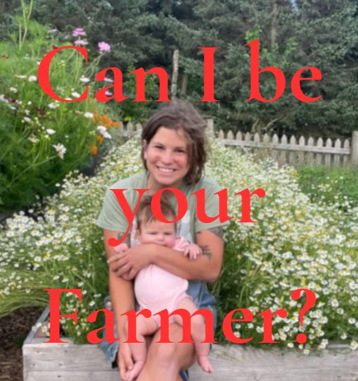 Screenshot 2026-02-25 133646.png