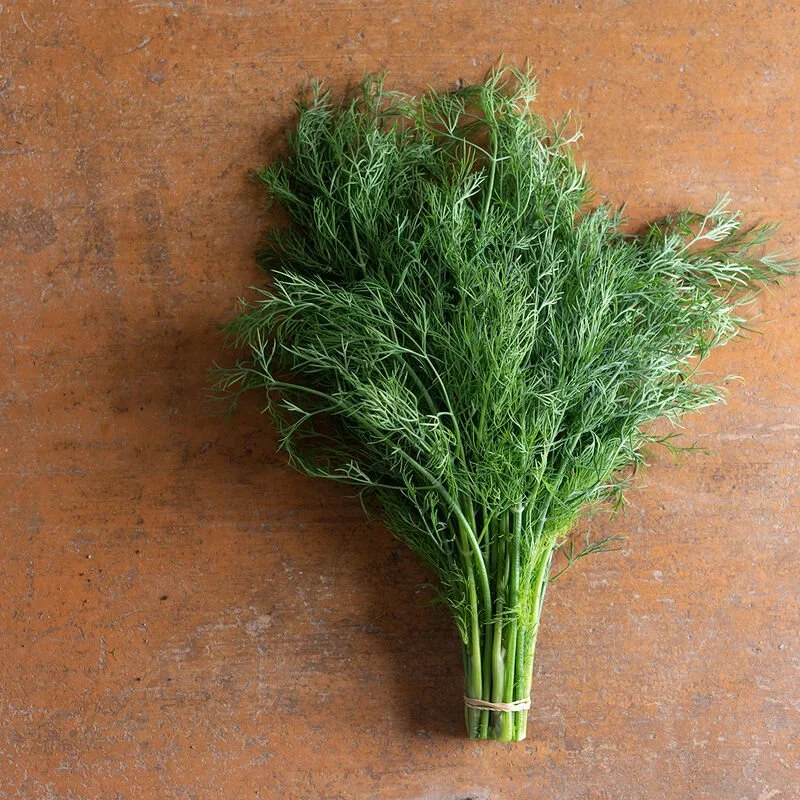 dill.jpg