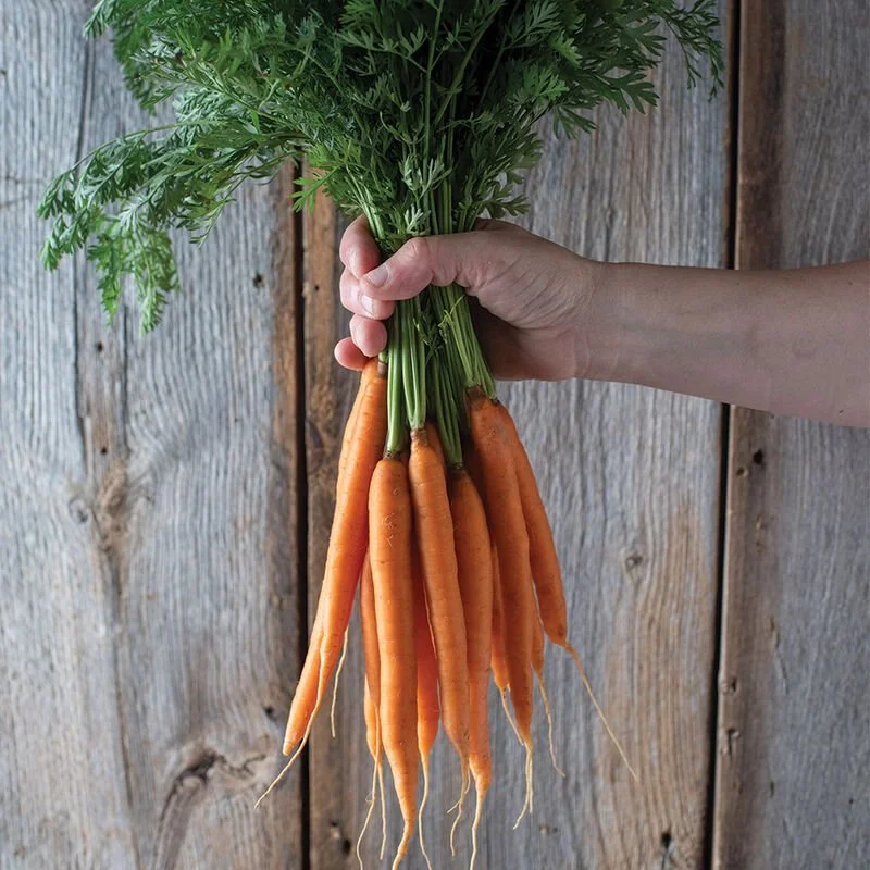 carrots.jpg