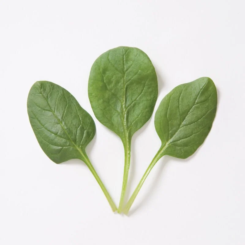 spinach.jpg