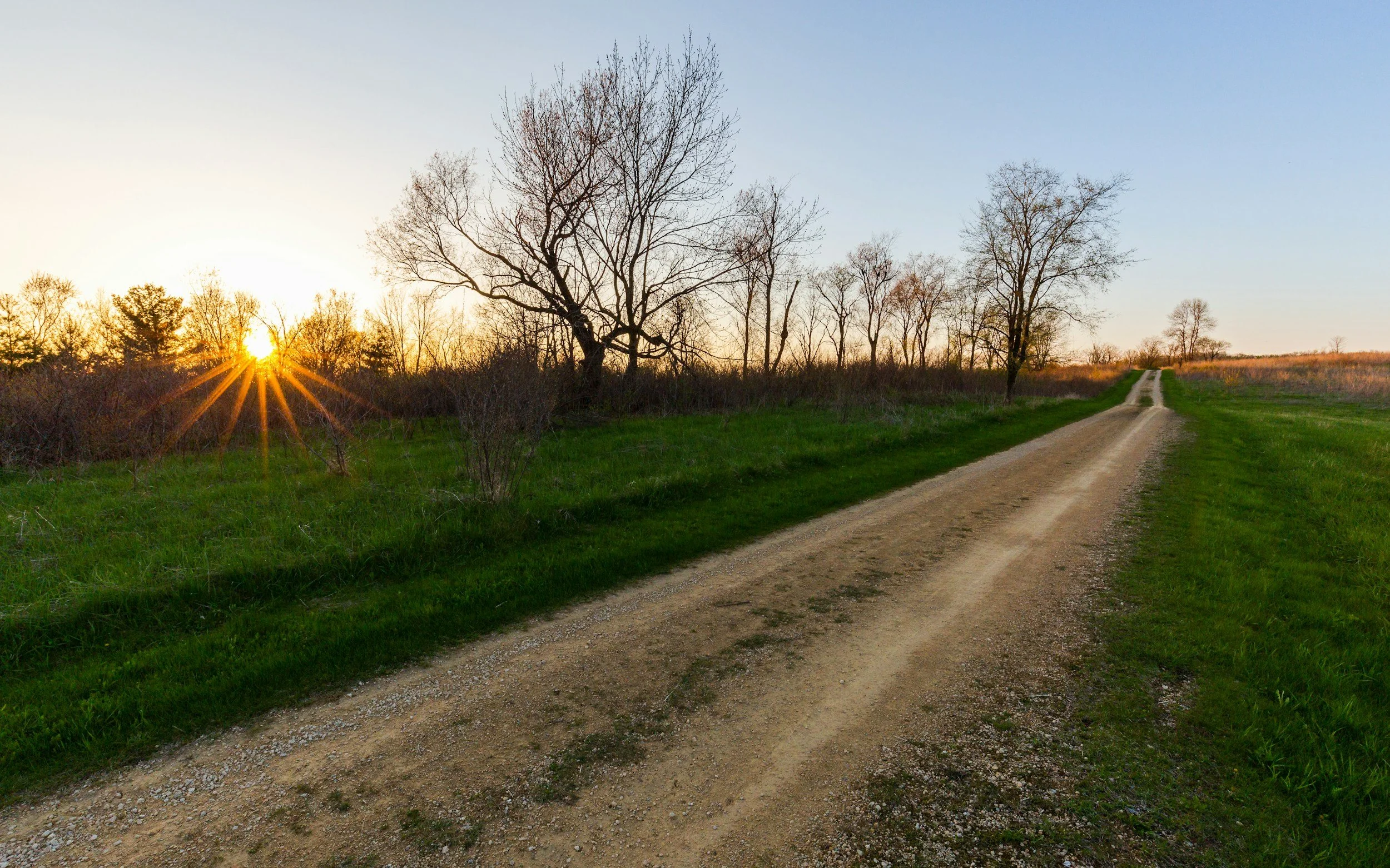 A dirt country road stretching into the horizon, flanked by green grass and leafless trees, with the setting sun casting a warm glow and creating a starburst effect.